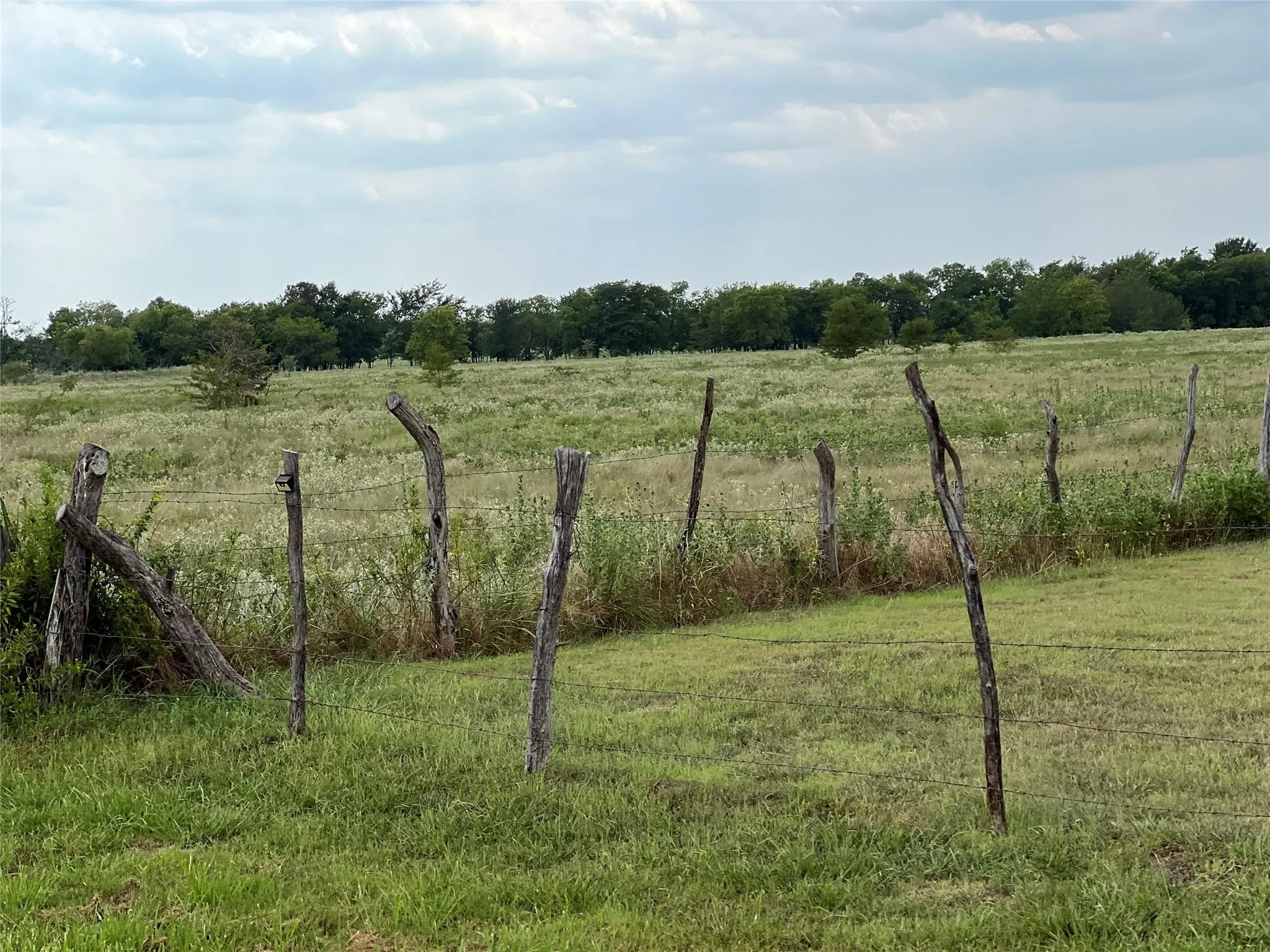 Unimproved Land For Sale in Hunt County , 22+ Fm-513, Campbell, Texas 75422, 0, 0, Garage spaces, 0 Sqft, built in 0, mls#21175968, Real Estate Agent in Campbell, Homes For Sale in Hunt county, Homes For Sale in Campbell, Realtor in Campbell Texas, Real Estate Brokerage Independent Realty Texas, Luminita Cordes Realtor