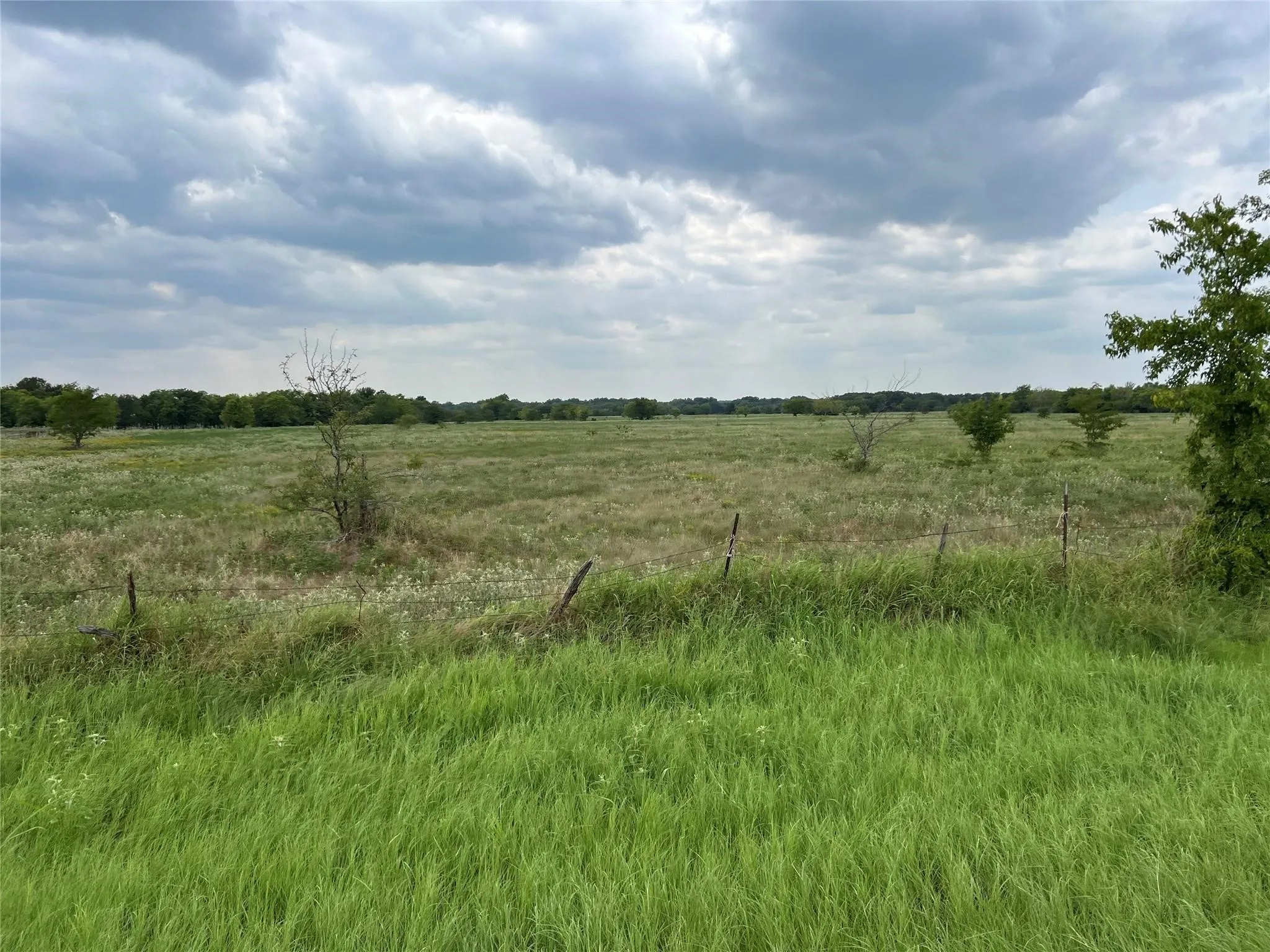 Unimproved Land For Sale in Hunt County , 22+ Fm-513, Campbell, Texas 75422, 0, 0, Garage spaces, 0 Sqft, built in 0, mls#21175968, Real Estate Agent in Campbell, Homes For Sale in Hunt county, Homes For Sale in Campbell, Realtor in Campbell Texas, Real Estate Brokerage Independent Realty Texas, Luminita Cordes Realtor