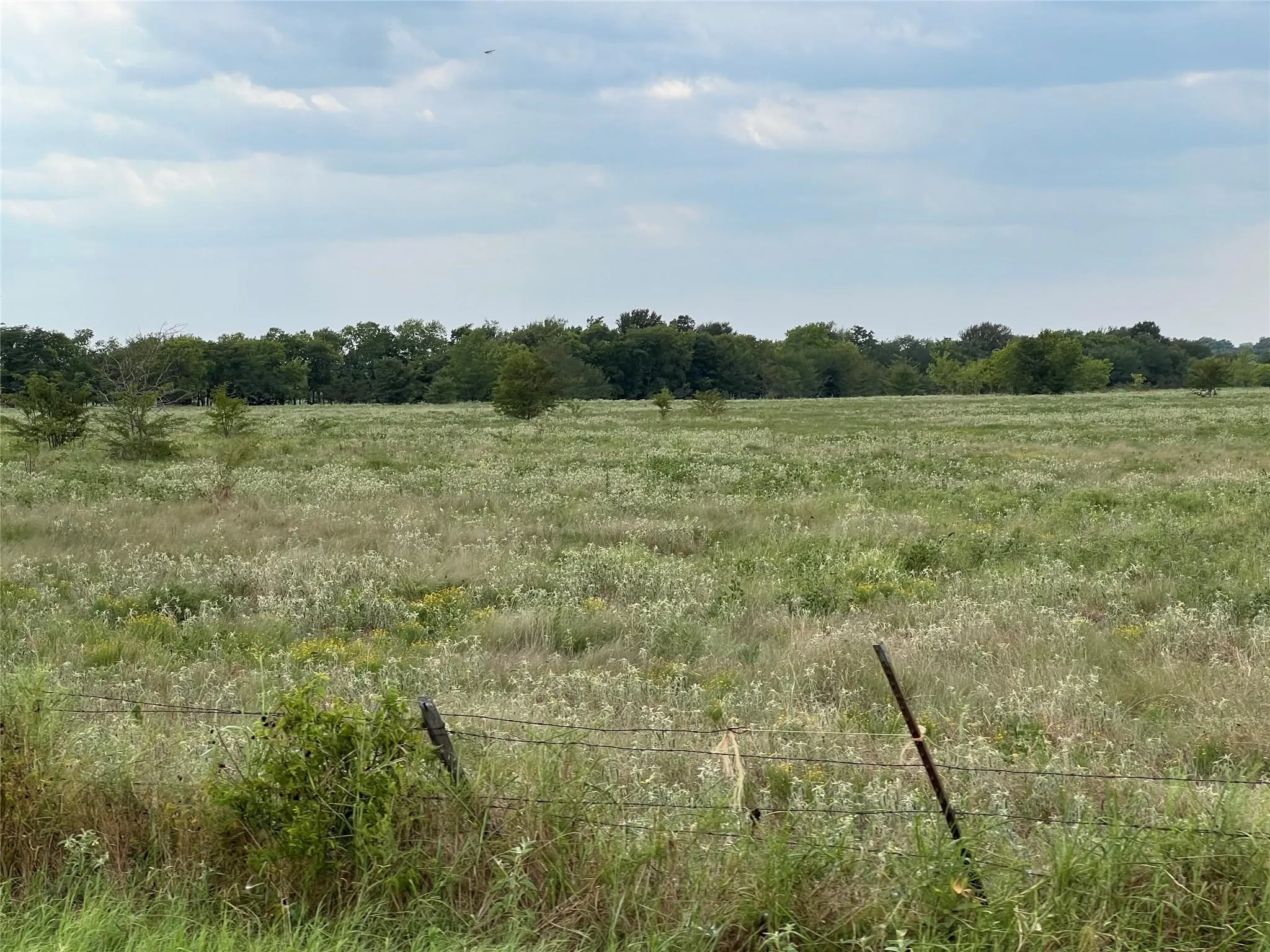 Unimproved Land For Sale in Hunt County , 22+ Fm-513, Campbell, Texas 75422, 0, 0, Garage spaces, 0 Sqft, built in 0, mls#21175968, Real Estate Agent in Campbell, Homes For Sale in Hunt county, Homes For Sale in Campbell, Realtor in Campbell Texas, Real Estate Brokerage Independent Realty Texas, Luminita Cordes Realtor