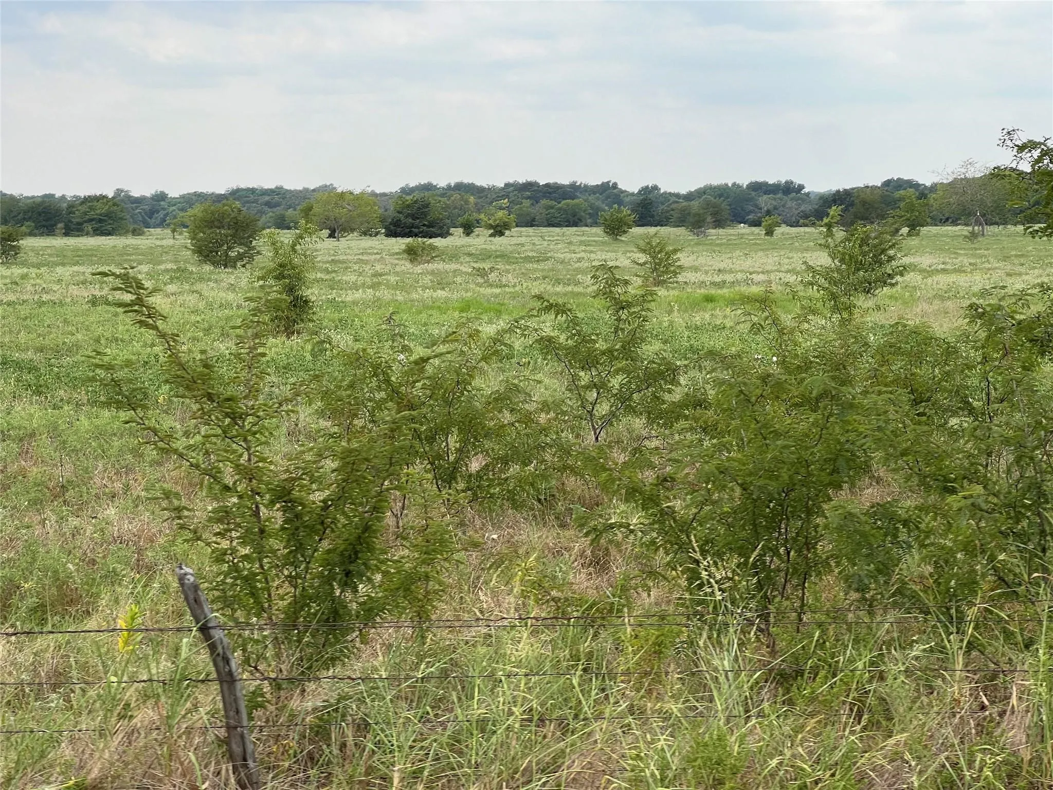 Unimproved Land For Sale in Hunt County , 22+ Fm-513, Campbell, Texas 75422, 0, 0, Garage spaces, 0 Sqft, built in 0, mls#21175968, Real Estate Agent in Campbell, Homes For Sale in Hunt county, Homes For Sale in Campbell, Realtor in Campbell Texas, Real Estate Brokerage Independent Realty Texas, Luminita Cordes Realtor