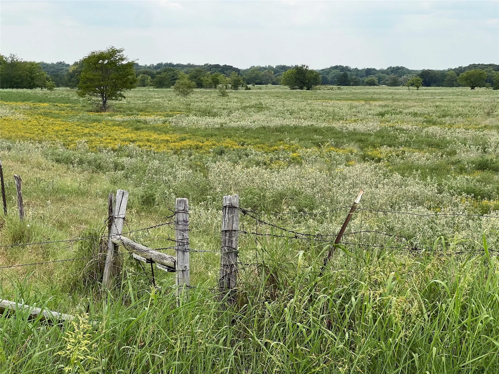 Unimproved Land For Sale in Hunt County , 22+ Fm-513, Campbell, Texas 75422, 0, 0, Garage spaces, 0 Sqft, built in 0, mls#21175968, Real Estate Agent in Campbell, Homes For Sale in Hunt county, Homes For Sale in Campbell, Realtor in Campbell Texas, Real Estate Brokerage Independent Realty Texas, Luminita Cordes Realtor