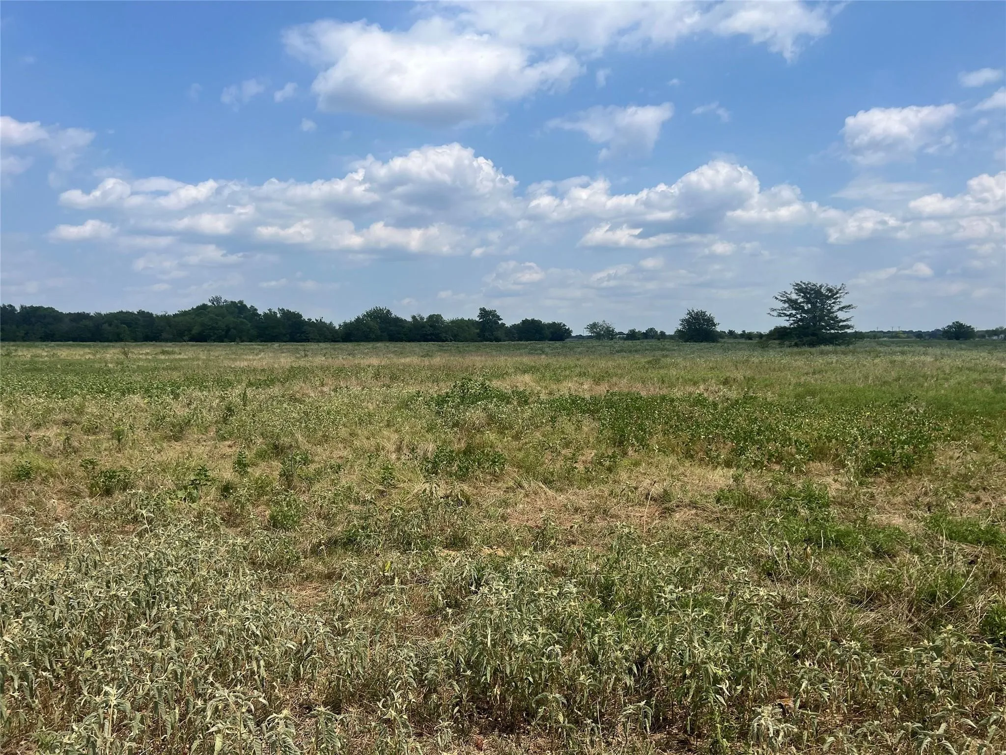 Unimproved Land For Sale in Hunt County , 22+ Fm-513, Campbell, Texas 75422, 0, 0, Garage spaces, 0 Sqft, built in 0, mls#21175968, Real Estate Agent in Campbell, Homes For Sale in Hunt county, Homes For Sale in Campbell, Realtor in Campbell Texas, Real Estate Brokerage Independent Realty Texas, Luminita Cordes Realtor