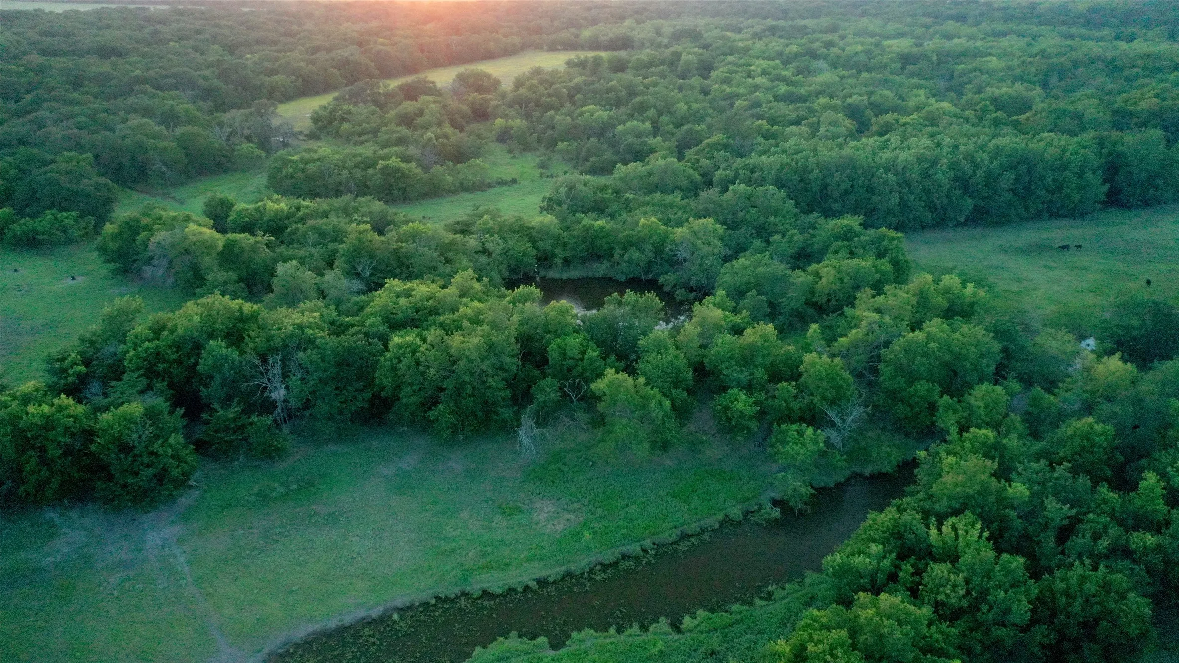 Improved Land For Sale in Limestone County , TBD LCR 623, Groesbeck, Texas 76642, 0, 0, Garage spaces, 0 Sqft, built in 0, mls#21160274, Real Estate Agent in Groesbeck, Homes For Sale in Limestone county, Homes For Sale in Groesbeck, Realtor in Groesbeck Texas, Real Estate Brokerage Independent Realty Texas, Luminita Cordes Realtor