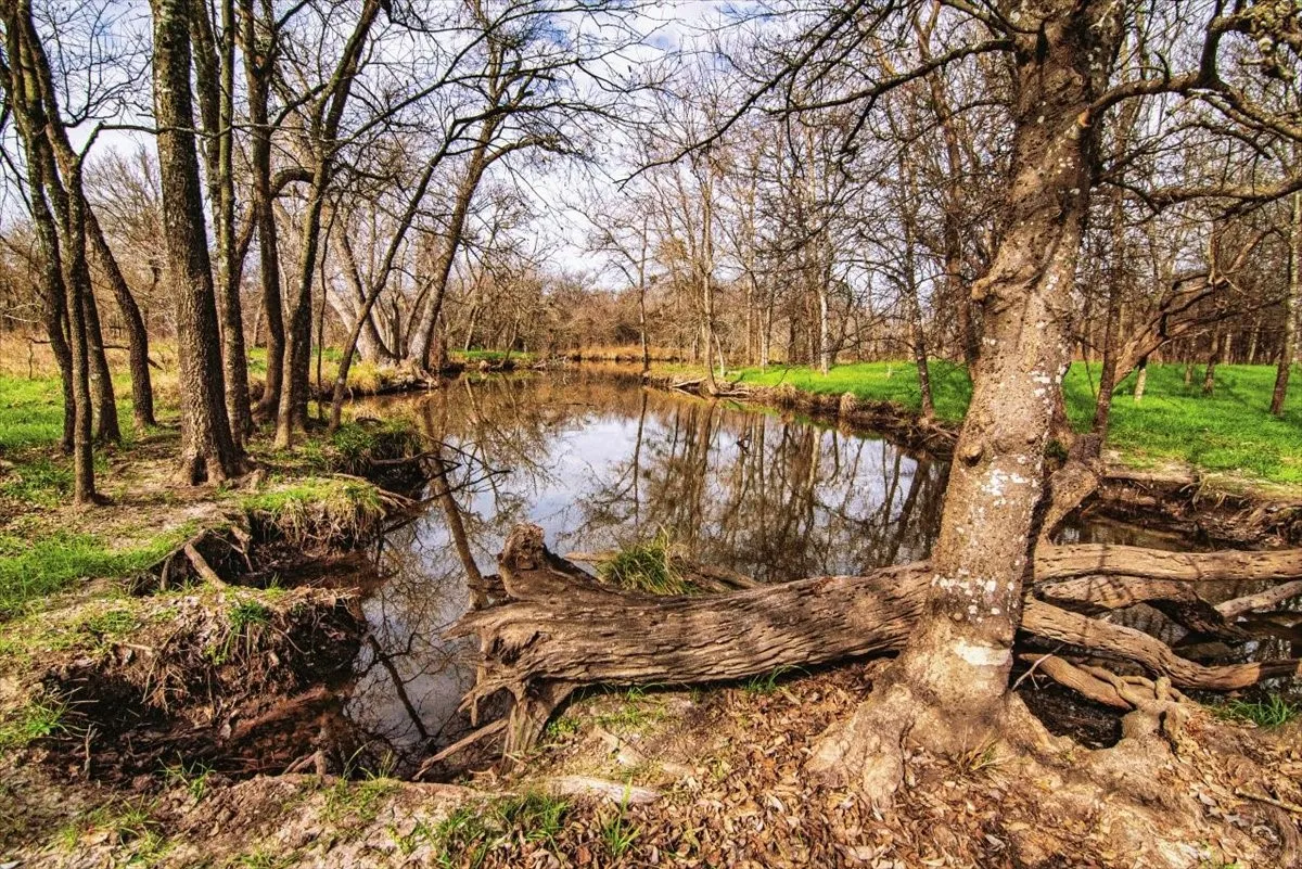 Improved Land For Sale in Limestone County , TBD LCR 623, Groesbeck, Texas 76642, 0, 0, Garage spaces, 0 Sqft, built in 0, mls#21160274, Real Estate Agent in Groesbeck, Homes For Sale in Limestone county, Homes For Sale in Groesbeck, Realtor in Groesbeck Texas, Real Estate Brokerage Independent Realty Texas, Luminita Cordes Realtor