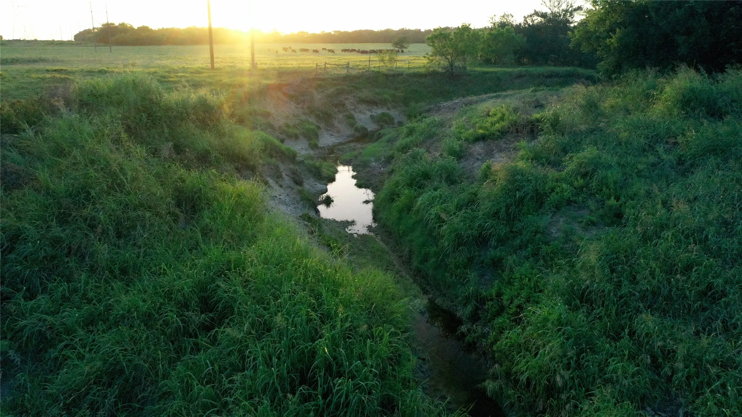 Improved Land For Sale in Limestone County , TBD LCR 623, Groesbeck, Texas 76642, 0, 0, Garage spaces, 0 Sqft, built in 0, mls#21160274, Real Estate Agent in Groesbeck, Homes For Sale in Limestone county, Homes For Sale in Groesbeck, Realtor in Groesbeck Texas, Real Estate Brokerage Independent Realty Texas, Luminita Cordes Realtor