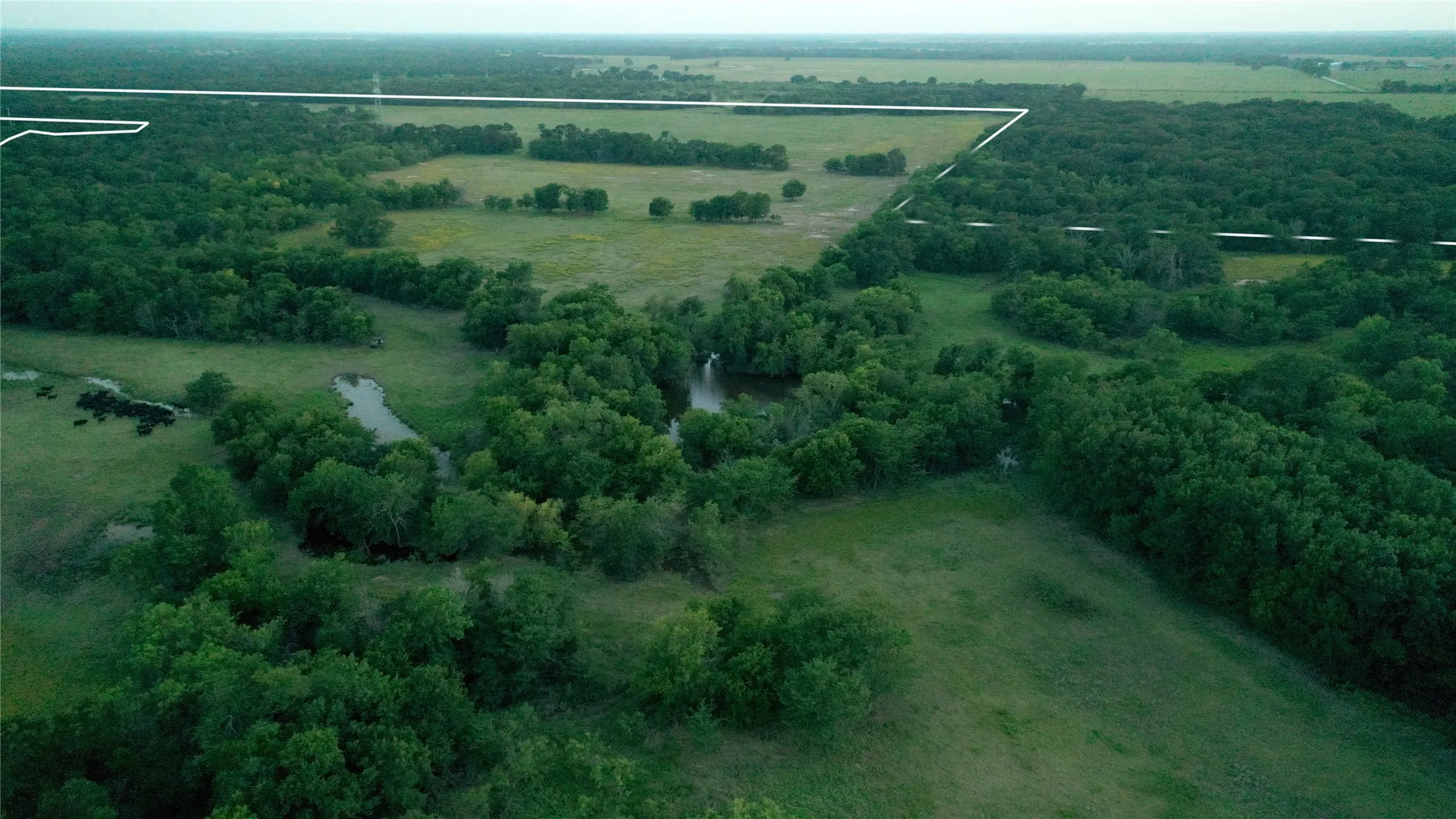 Improved Land For Sale in Limestone County , TBD LCR 623, Groesbeck, Texas 76642, 0, 0, Garage spaces, 0 Sqft, built in 0, mls#21160274, Real Estate Agent in Groesbeck, Homes For Sale in Limestone county, Homes For Sale in Groesbeck, Realtor in Groesbeck Texas, Real Estate Brokerage Independent Realty Texas, Luminita Cordes Realtor
