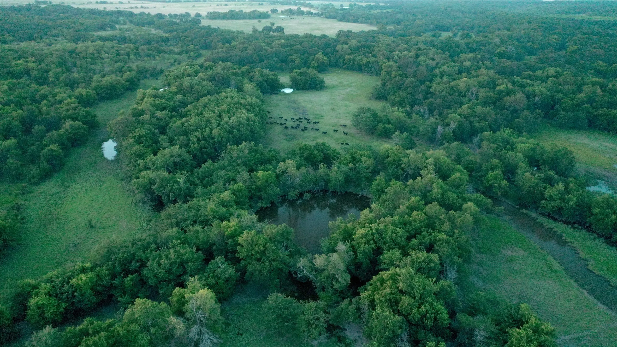 Improved Land For Sale in Limestone County , TBD LCR 623, Groesbeck, Texas 76642, 0, 0, Garage spaces, 0 Sqft, built in 0, mls#21160274, Real Estate Agent in Groesbeck, Homes For Sale in Limestone county, Homes For Sale in Groesbeck, Realtor in Groesbeck Texas, Real Estate Brokerage Independent Realty Texas, Luminita Cordes Realtor