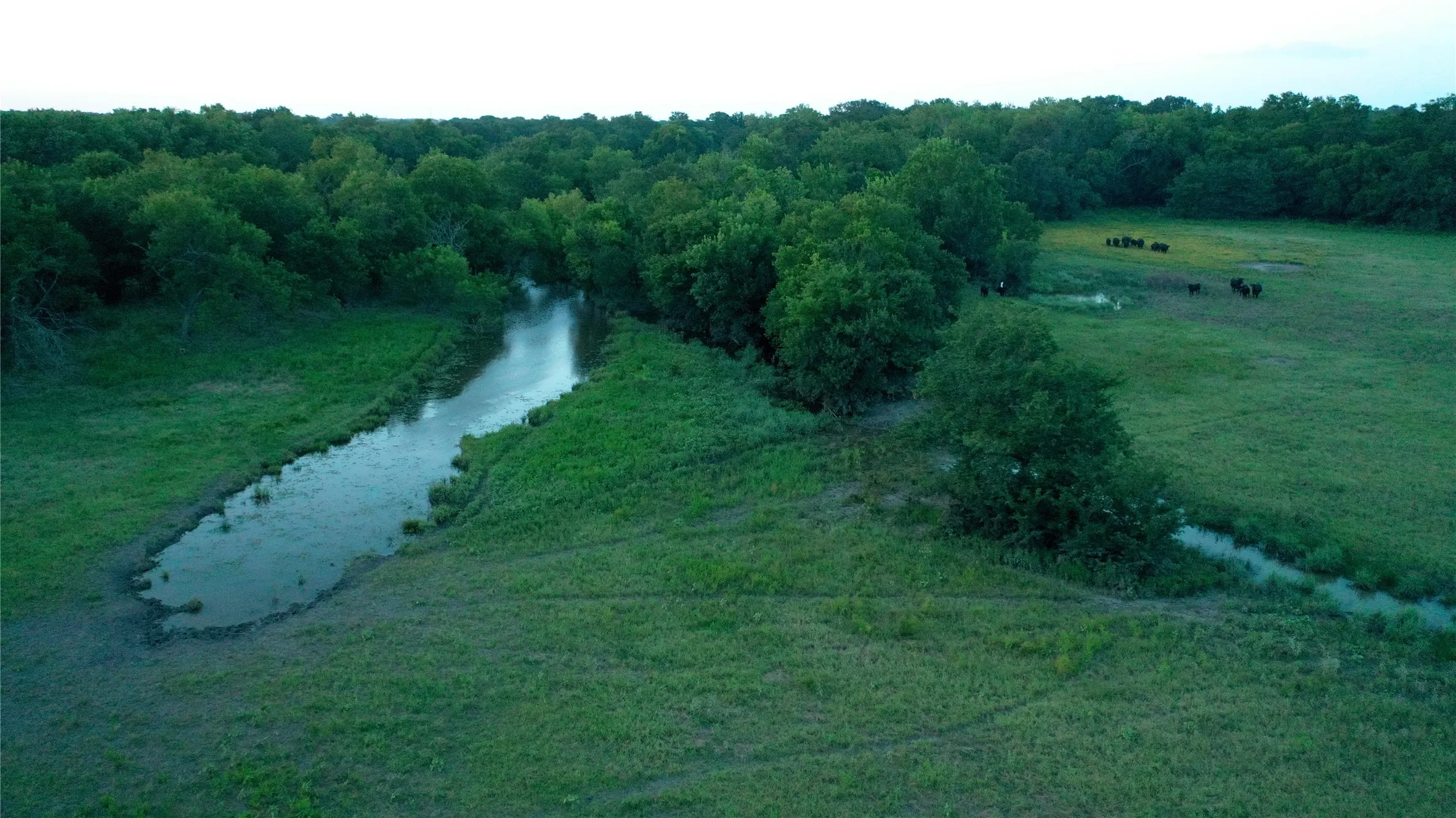 Improved Land For Sale in Limestone County , TBD LCR 623, Groesbeck, Texas 76642, 0, 0, Garage spaces, 0 Sqft, built in 0, mls#21160274, Real Estate Agent in Groesbeck, Homes For Sale in Limestone county, Homes For Sale in Groesbeck, Realtor in Groesbeck Texas, Real Estate Brokerage Independent Realty Texas, Luminita Cordes Realtor