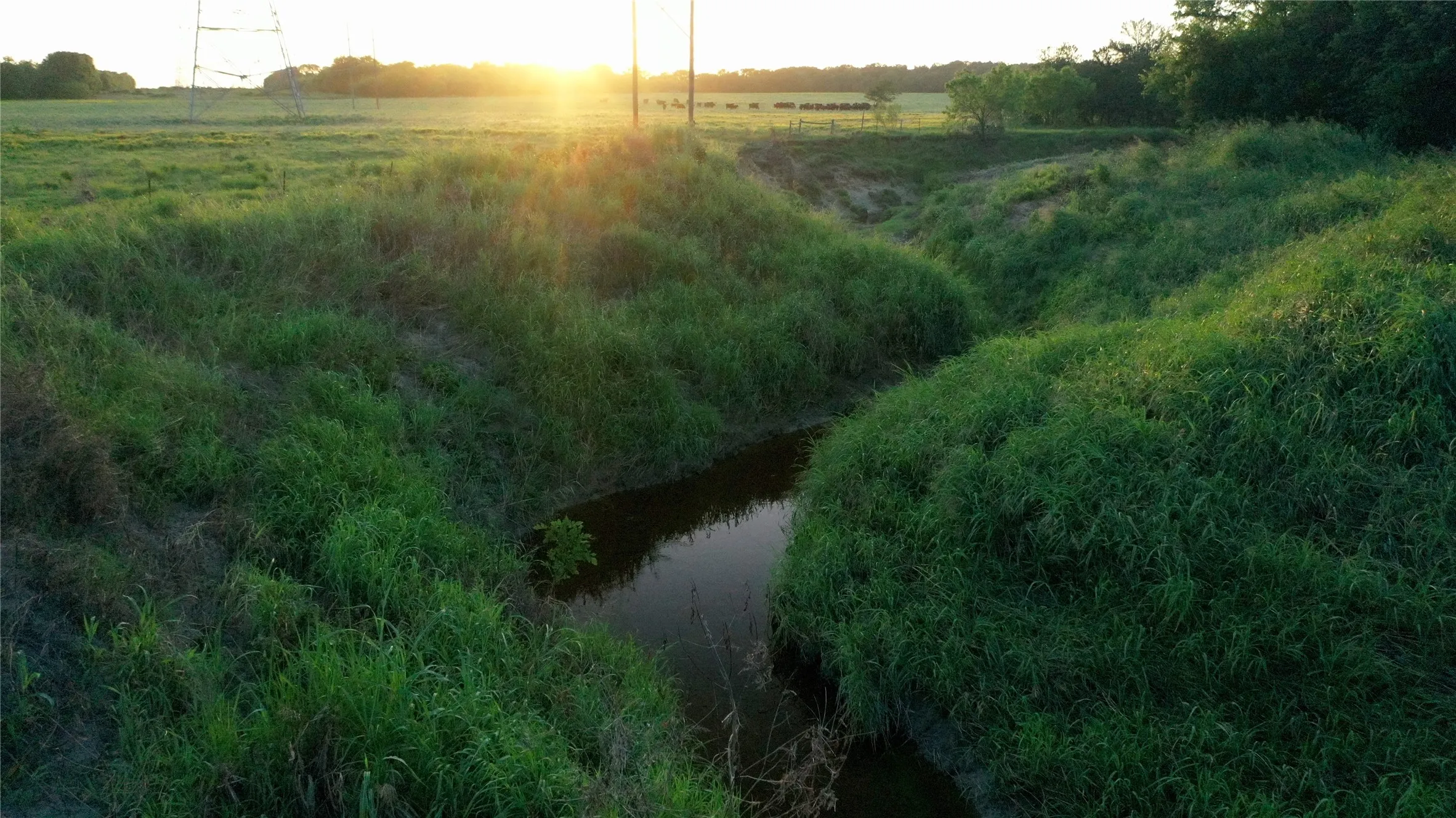Improved Land For Sale in Limestone County , TBD LCR 623, Groesbeck, Texas 76642, 0, 0, Garage spaces, 0 Sqft, built in 0, mls#21160274, Real Estate Agent in Groesbeck, Homes For Sale in Limestone county, Homes For Sale in Groesbeck, Realtor in Groesbeck Texas, Real Estate Brokerage Independent Realty Texas, Luminita Cordes Realtor