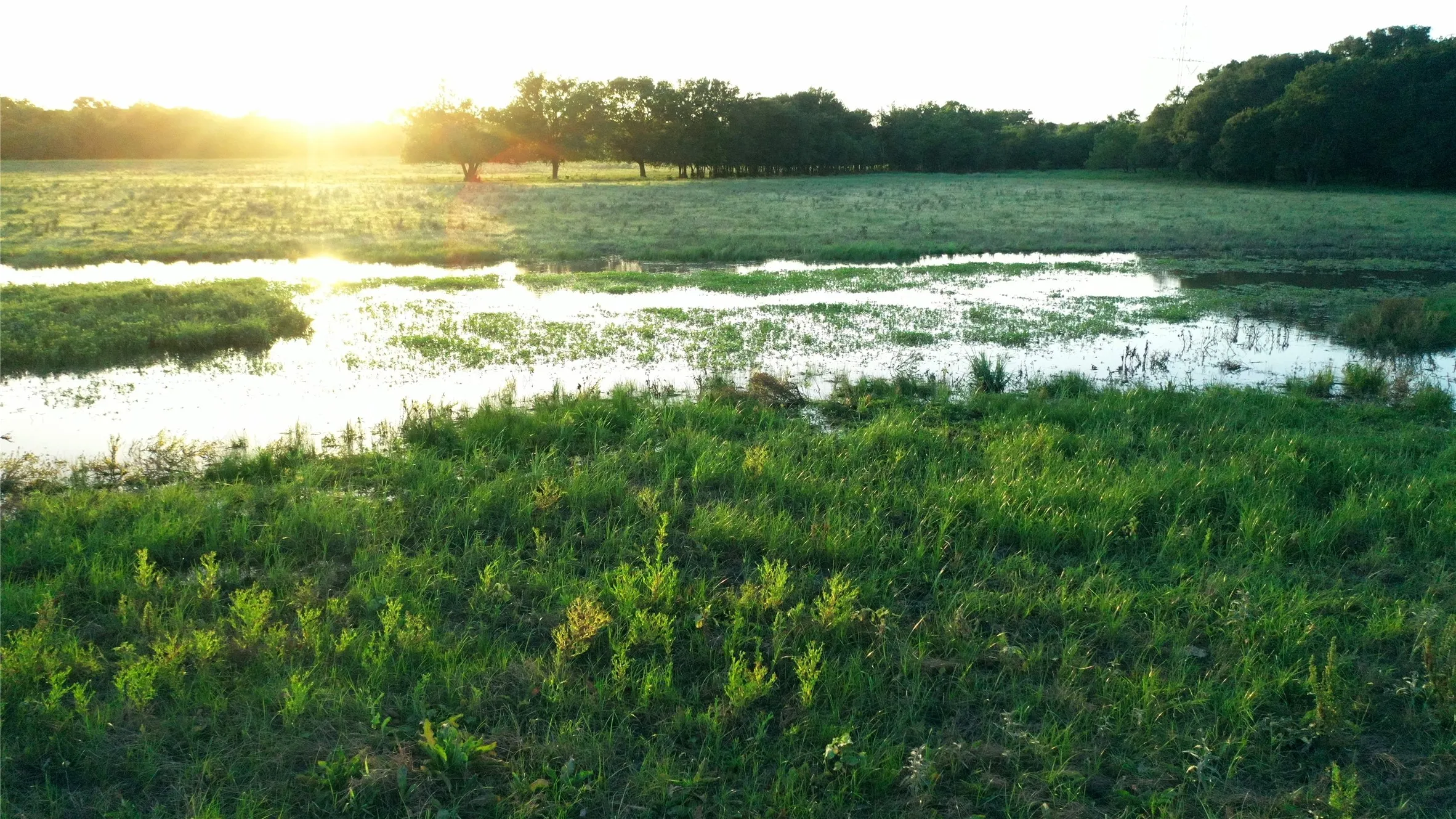Improved Land For Sale in Limestone County , TBD LCR 623, Groesbeck, Texas 76642, 0, 0, Garage spaces, 0 Sqft, built in 0, mls#21160274, Real Estate Agent in Groesbeck, Homes For Sale in Limestone county, Homes For Sale in Groesbeck, Realtor in Groesbeck Texas, Real Estate Brokerage Independent Realty Texas, Luminita Cordes Realtor