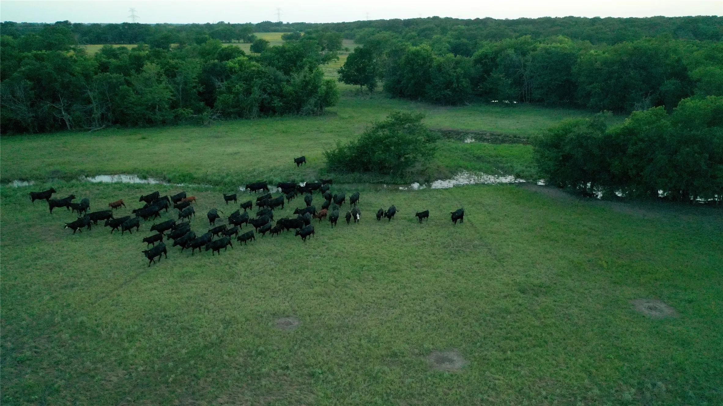Improved Land For Sale in Limestone County , TBD LCR 623, Groesbeck, Texas 76642, 0, 0, Garage spaces, 0 Sqft, built in 0, mls#21160274, Real Estate Agent in Groesbeck, Homes For Sale in Limestone county, Homes For Sale in Groesbeck, Realtor in Groesbeck Texas, Real Estate Brokerage Independent Realty Texas, Luminita Cordes Realtor
