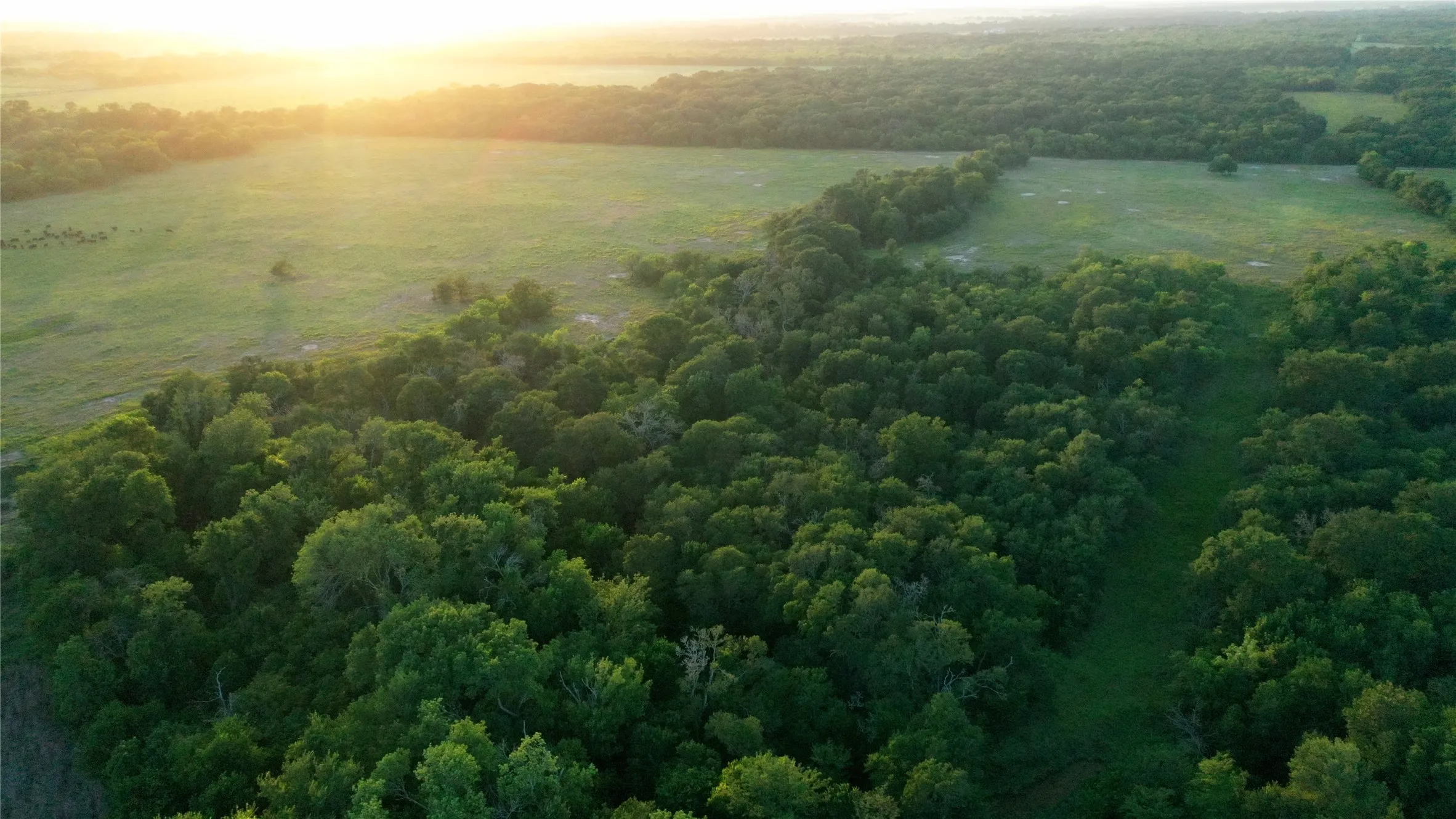 Improved Land For Sale in Limestone County , TBD LCR 623, Groesbeck, Texas 76642, 0, 0, Garage spaces, 0 Sqft, built in 0, mls#21160274, Real Estate Agent in Groesbeck, Homes For Sale in Limestone county, Homes For Sale in Groesbeck, Realtor in Groesbeck Texas, Real Estate Brokerage Independent Realty Texas, Luminita Cordes Realtor