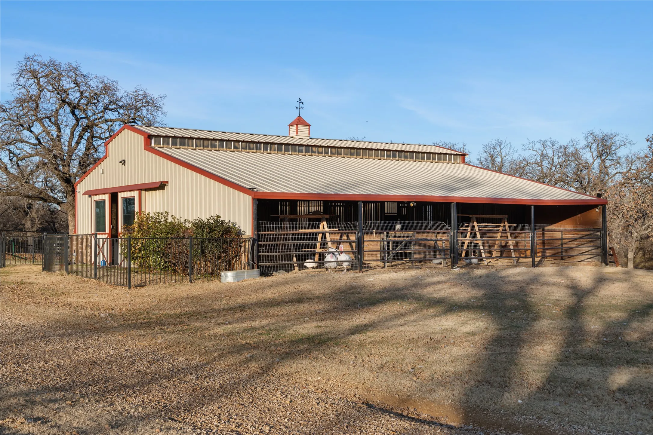 Mare Barn