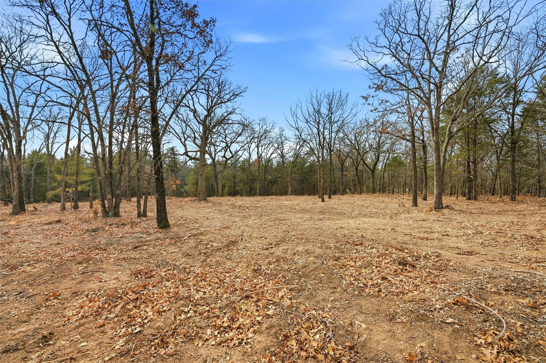 Improved Land For Sale in Grayson County , LOT 30 White Tail Way, Pottsboro, Texas 75076, 0, 0, Garage spaces, 0 Sqft, built in 0, Price $199,000, mls#21178520, Real Estate Agent in Pottsboro, Homes For Sale in Grayson county, Homes For Sale in Pottsboro, Realtor in Pottsboro Texas, Real Estate Brokerage Independent Realty Texas, Luminita Cordes Realtor