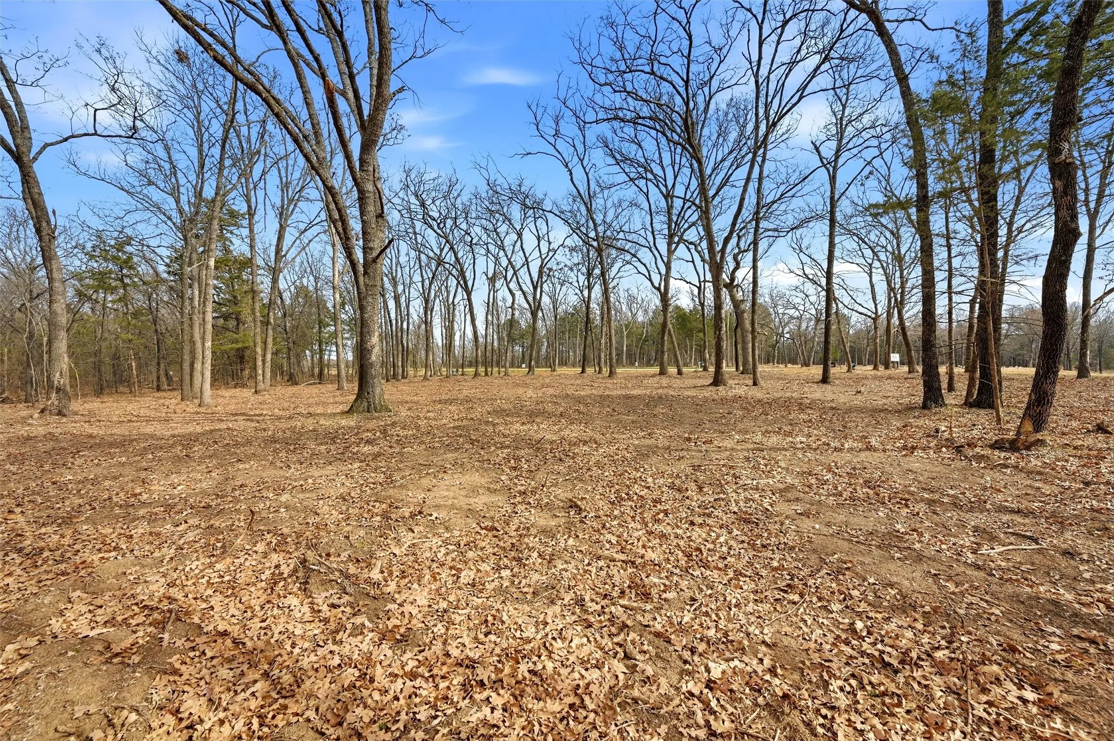 Improved Land For Sale in Grayson County , LOT 30 White Tail Way, Pottsboro, Texas 75076, 0, 0, Garage spaces, 0 Sqft, built in 0, Price $199,000, mls#21178520, Real Estate Agent in Pottsboro, Homes For Sale in Grayson county, Homes For Sale in Pottsboro, Realtor in Pottsboro Texas, Real Estate Brokerage Independent Realty Texas, Luminita Cordes Realtor