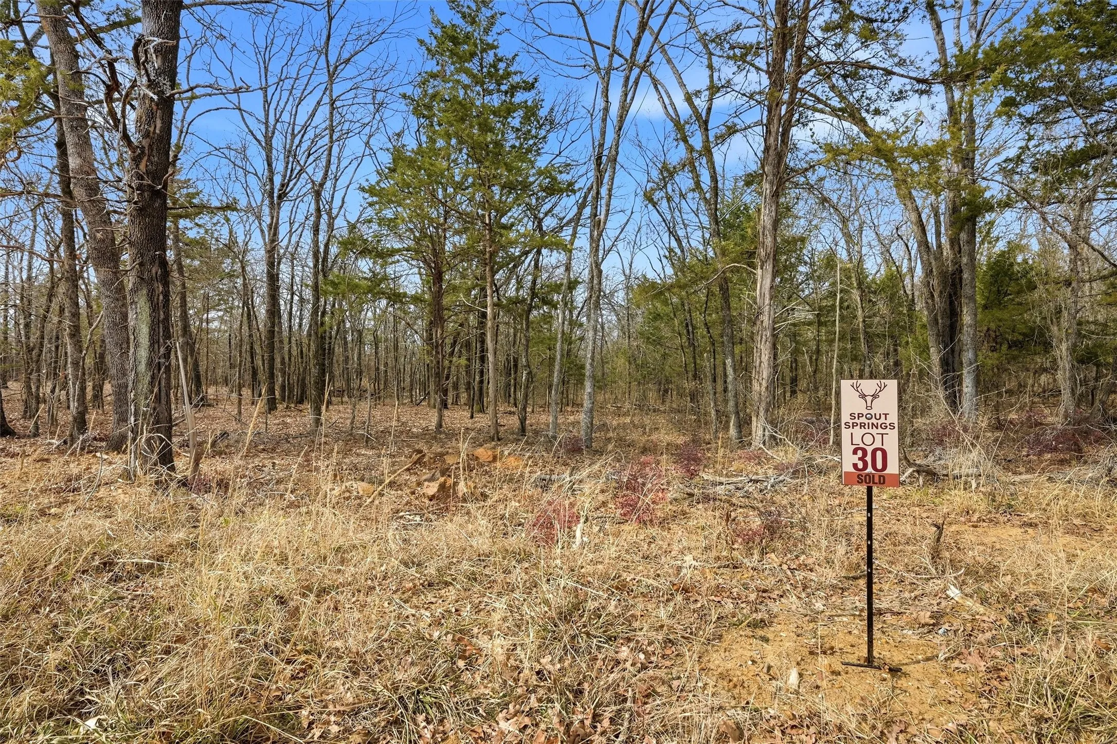 Improved Land For Sale in Grayson County , LOT 30 White Tail Way, Pottsboro, Texas 75076, 0, 0, Garage spaces, 0 Sqft, built in 0, Price $199,000, mls#21178520, Real Estate Agent in Pottsboro, Homes For Sale in Grayson county, Homes For Sale in Pottsboro, Realtor in Pottsboro Texas, Real Estate Brokerage Independent Realty Texas, Luminita Cordes Realtor
