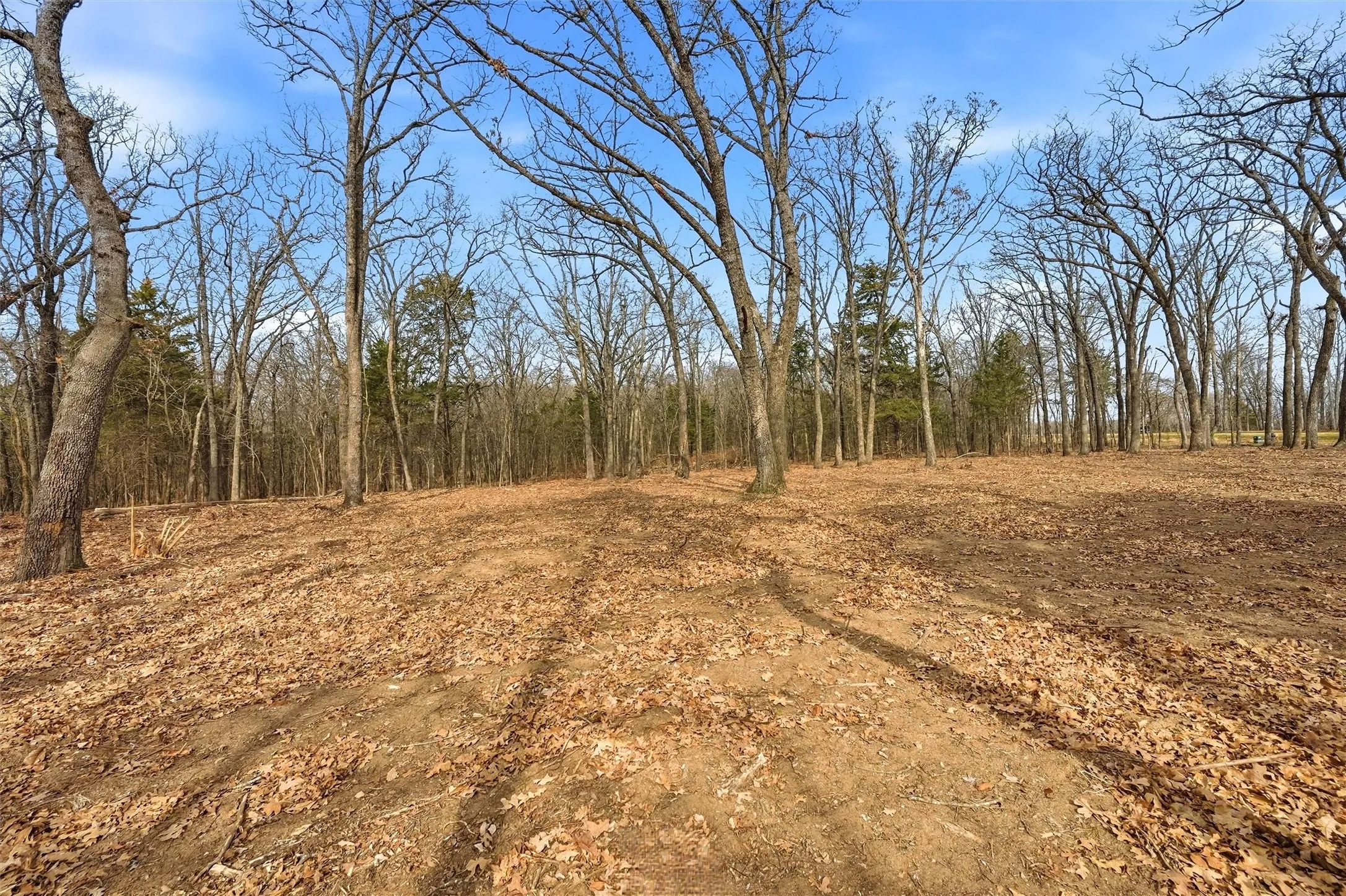 Improved Land For Sale in Grayson County , LOT 30 White Tail Way, Pottsboro, Texas 75076, 0, 0, Garage spaces, 0 Sqft, built in 0, Price $199,000, mls#21178520, Real Estate Agent in Pottsboro, Homes For Sale in Grayson county, Homes For Sale in Pottsboro, Realtor in Pottsboro Texas, Real Estate Brokerage Independent Realty Texas, Luminita Cordes Realtor
