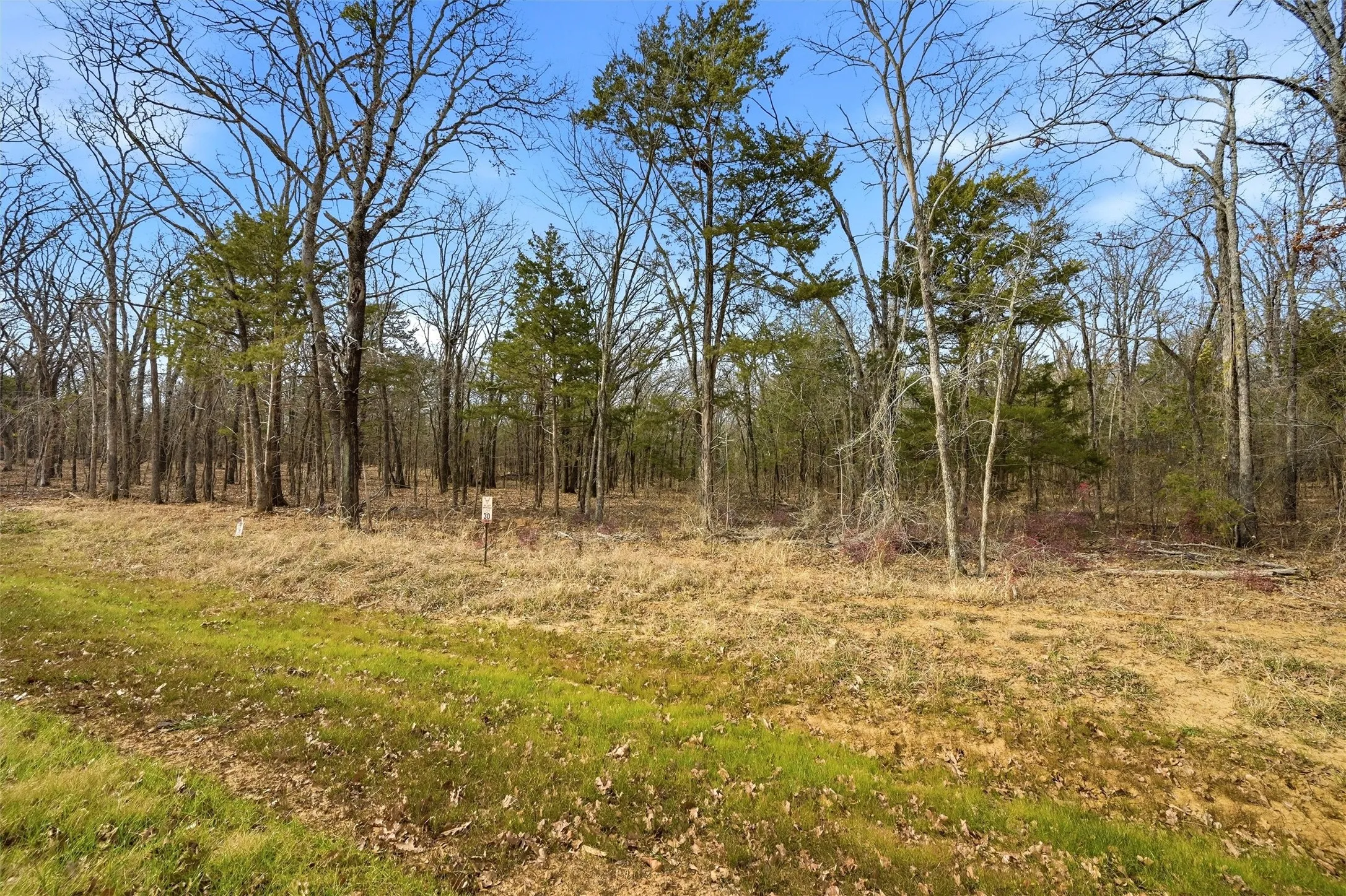 Improved Land For Sale in Grayson County , LOT 30 White Tail Way, Pottsboro, Texas 75076, 0, 0, Garage spaces, 0 Sqft, built in 0, Price $199,000, mls#21178520, Real Estate Agent in Pottsboro, Homes For Sale in Grayson county, Homes For Sale in Pottsboro, Realtor in Pottsboro Texas, Real Estate Brokerage Independent Realty Texas, Luminita Cordes Realtor