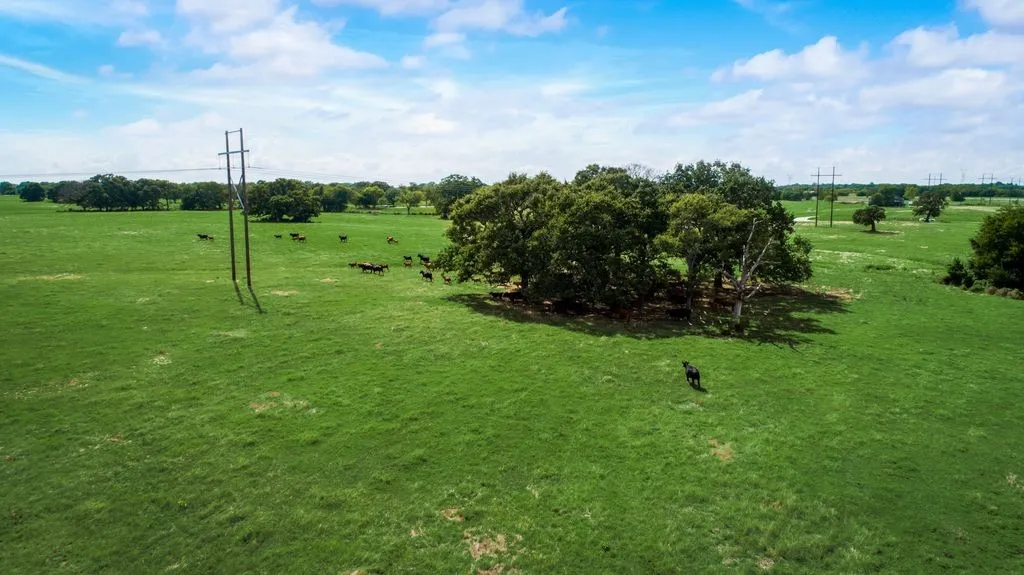 Unimproved Land For Sale in Kaufman County , TBD 1 CO RD 153, Kaufman, Texas 75142, 0, 0, Garage spaces, 0 Sqft, built in 0, mls#21178635, Real Estate Agent in Kaufman, Homes For Sale in Kaufman county, Homes For Sale in Kaufman, Realtor in Kaufman Texas, Real Estate Brokerage Independent Realty Texas, Luminita Cordes Realtor