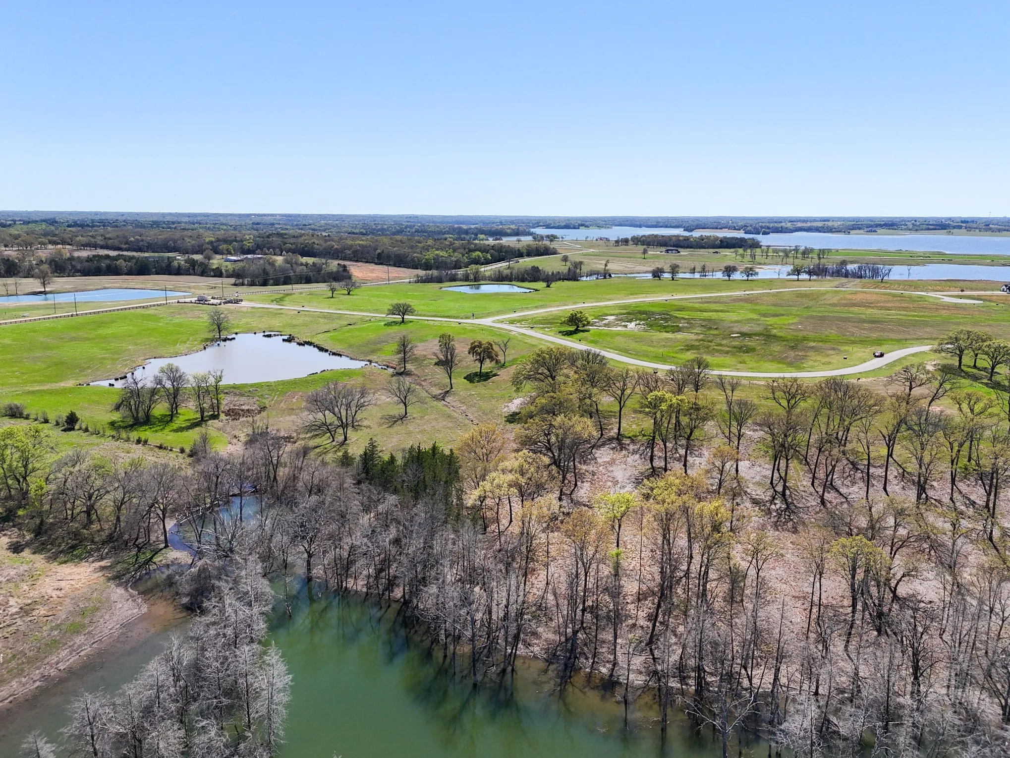 Unimproved Land For Sale in Fannin County , 410 Peninsula Drive, Honey Grove, Texas 75446, 0, 0, Garage spaces, 0 Sqft, built in 0, mls#21178771, Real Estate Agent in Honey Grove, Homes For Sale in Fannin county, Homes For Sale in Honey Grove, Realtor in Honey Grove Texas, Real Estate Brokerage Independent Realty Texas, Luminita Cordes Realtor