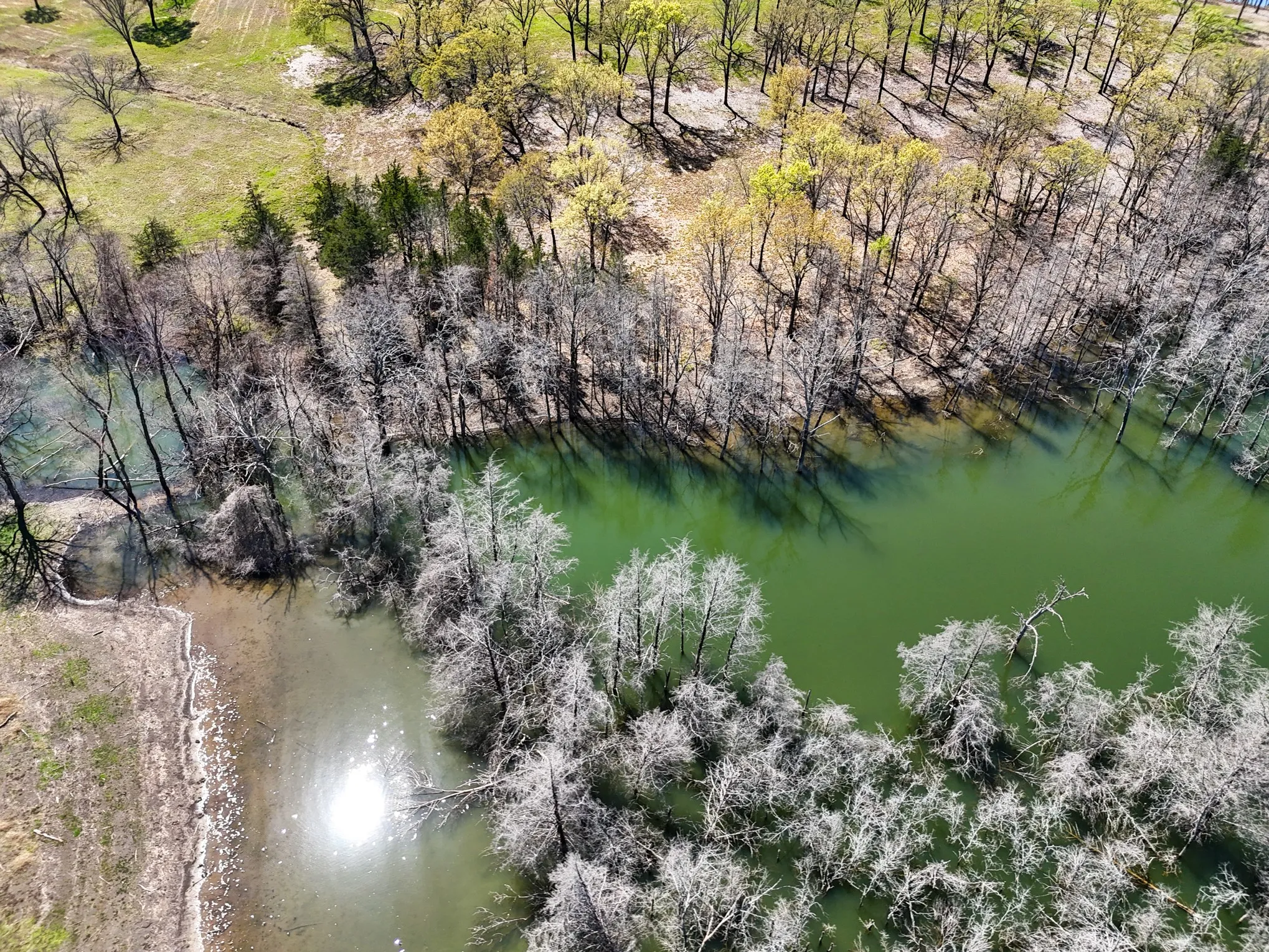 Unimproved Land For Sale in Fannin County , 410 Peninsula Drive, Honey Grove, Texas 75446, 0, 0, Garage spaces, 0 Sqft, built in 0, mls#21178771, Real Estate Agent in Honey Grove, Homes For Sale in Fannin county, Homes For Sale in Honey Grove, Realtor in Honey Grove Texas, Real Estate Brokerage Independent Realty Texas, Luminita Cordes Realtor