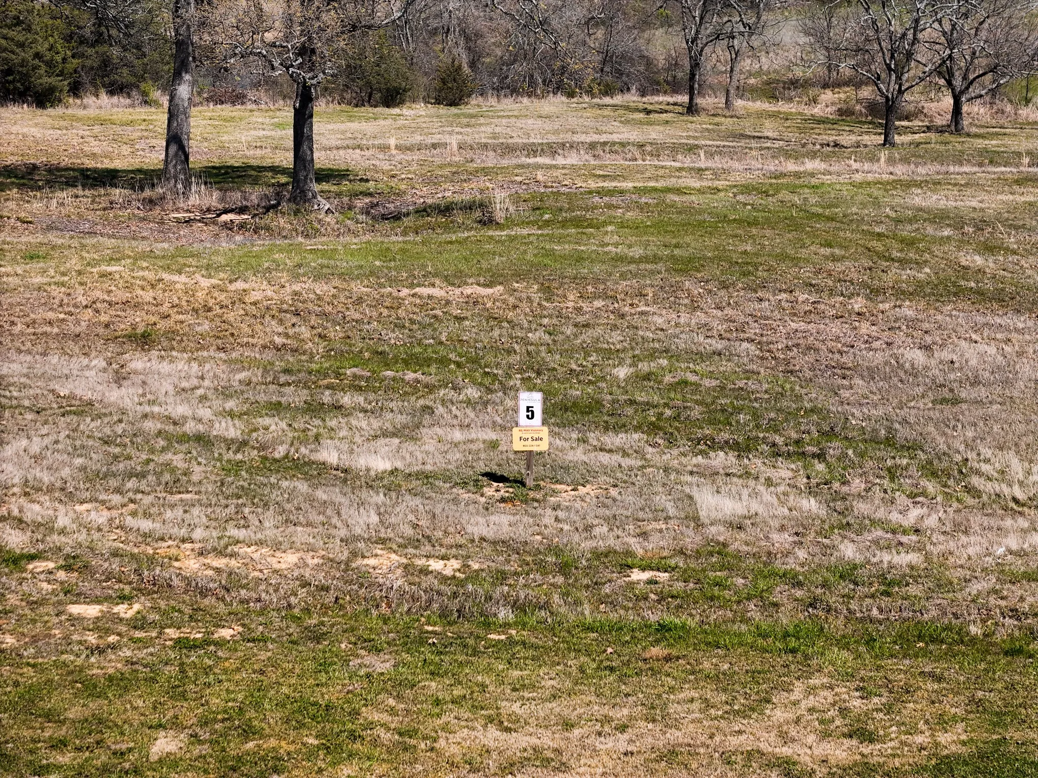 Unimproved Land For Sale in Fannin County , 410 Peninsula Drive, Honey Grove, Texas 75446, 0, 0, Garage spaces, 0 Sqft, built in 0, mls#21178771, Real Estate Agent in Honey Grove, Homes For Sale in Fannin county, Homes For Sale in Honey Grove, Realtor in Honey Grove Texas, Real Estate Brokerage Independent Realty Texas, Luminita Cordes Realtor