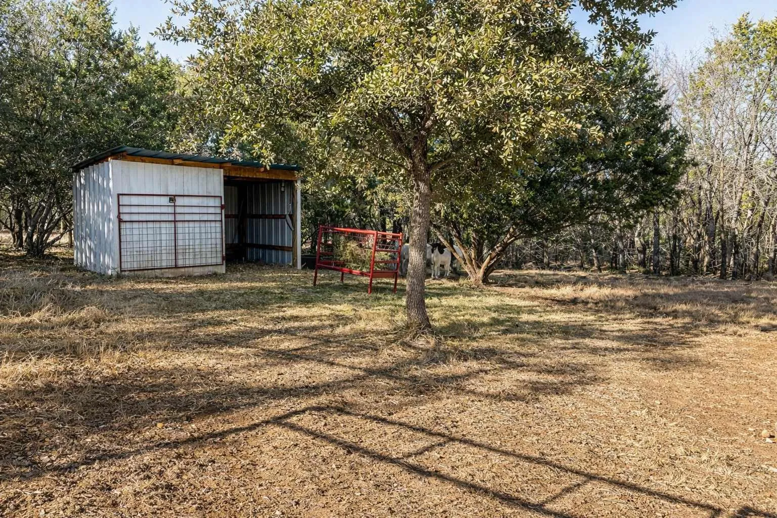 Ranch For Sale in Coryell County , 705 Indian Hills Road, Gatesville, Texas 76528, 0, 0, Garage spaces, 0 Sqft, built in 2022, mls#21176006, Real Estate Agent in Gatesville, Homes For Sale in Coryell county, Homes For Sale in Gatesville, Realtor in Gatesville Texas, Real Estate Brokerage Independent Realty Texas, Luminita Cordes Realtor