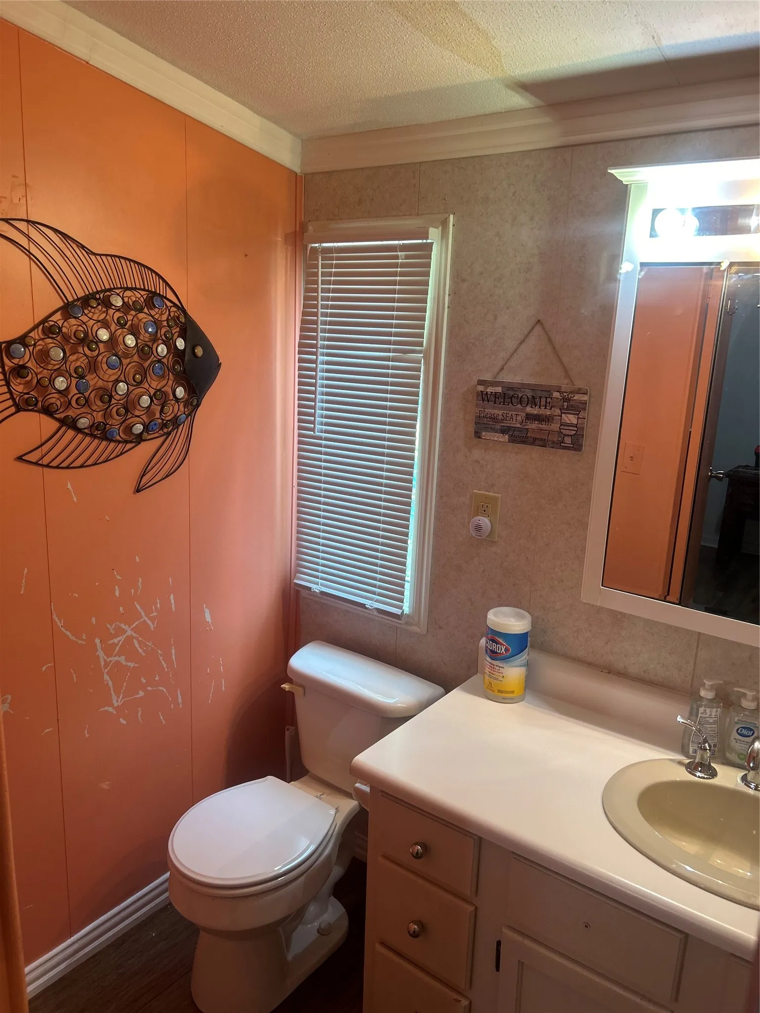 Half bathroom featuring vanity and a textured ceiling