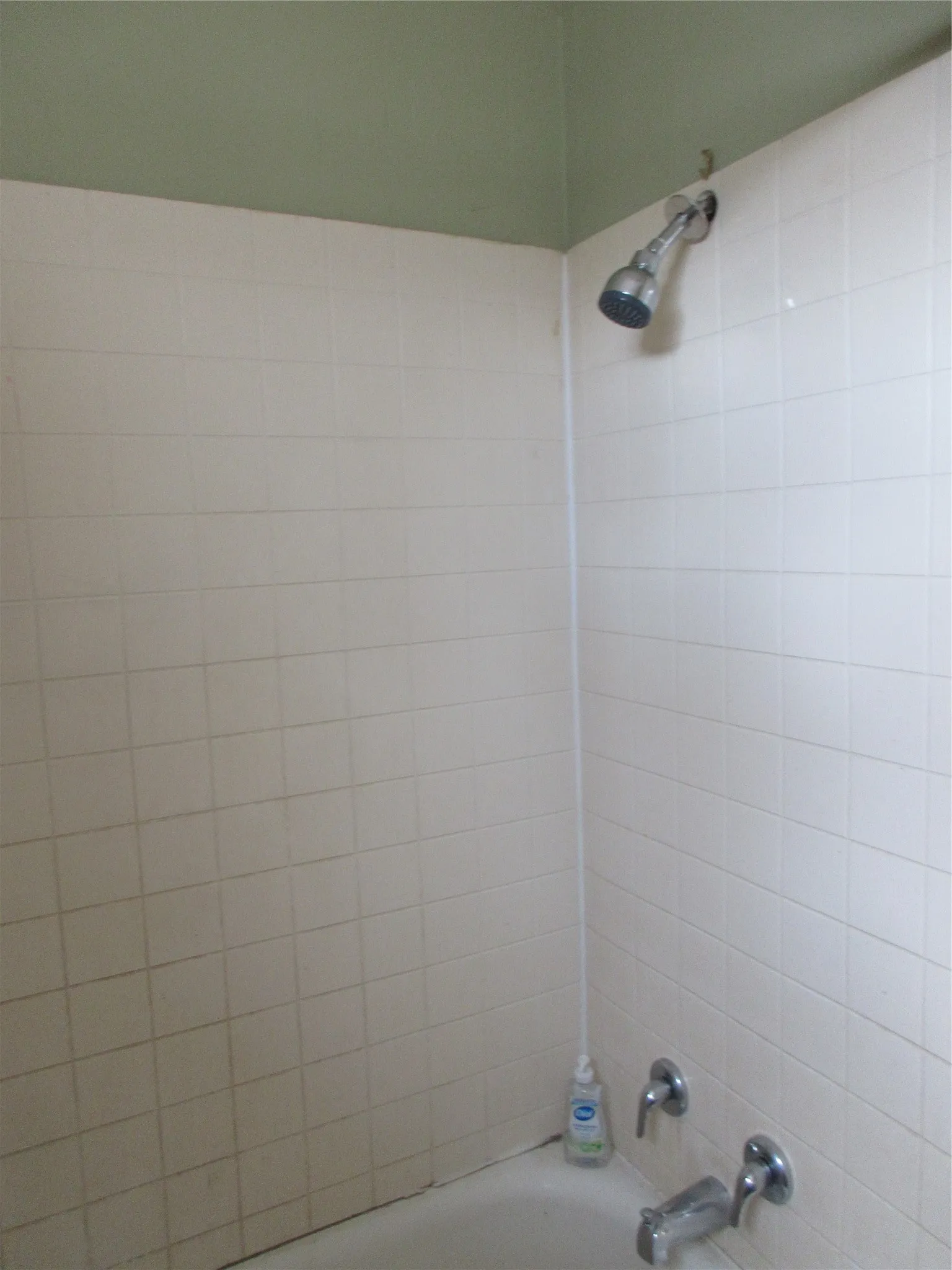 Showwer/Tub Combo