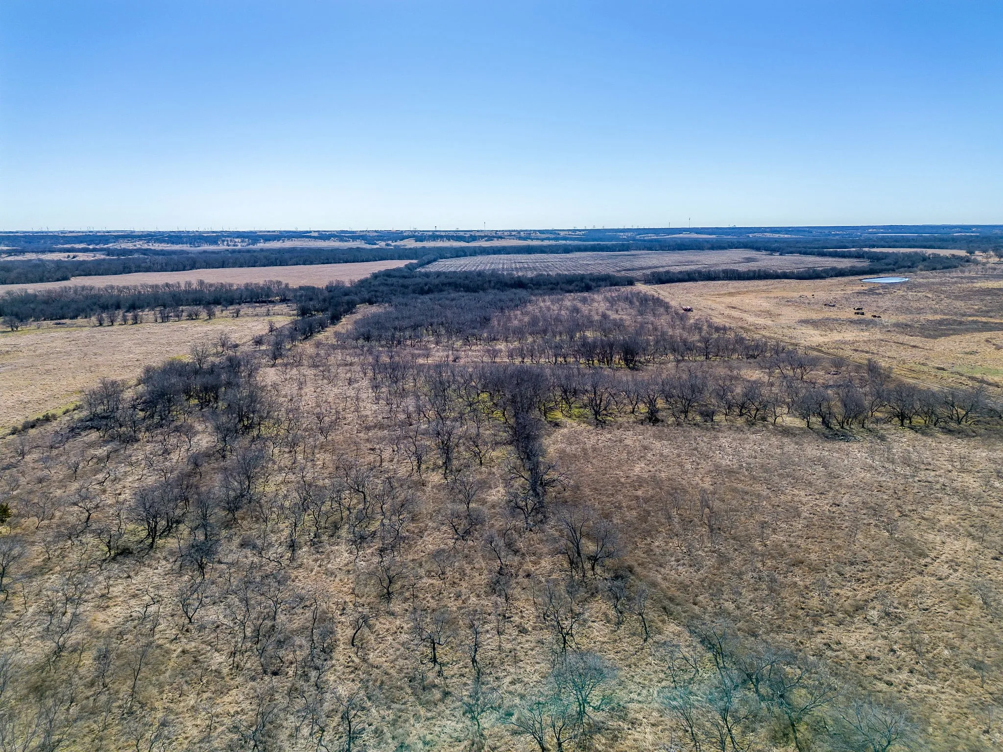Unimproved Land For Sale in Mc Lennan County , TBD Ivy Lane, Elm Mott, Texas 76640, 0, 0, Garage spaces, 0 Sqft, built in 0, Price $945,000, mls#21178829, Real Estate Agent in Elm Mott, Homes For Sale in Mc Lennan county, Homes For Sale in Elm Mott, Realtor in Elm Mott Texas, Real Estate Brokerage Independent Realty Texas, Luminita Cordes Realtor