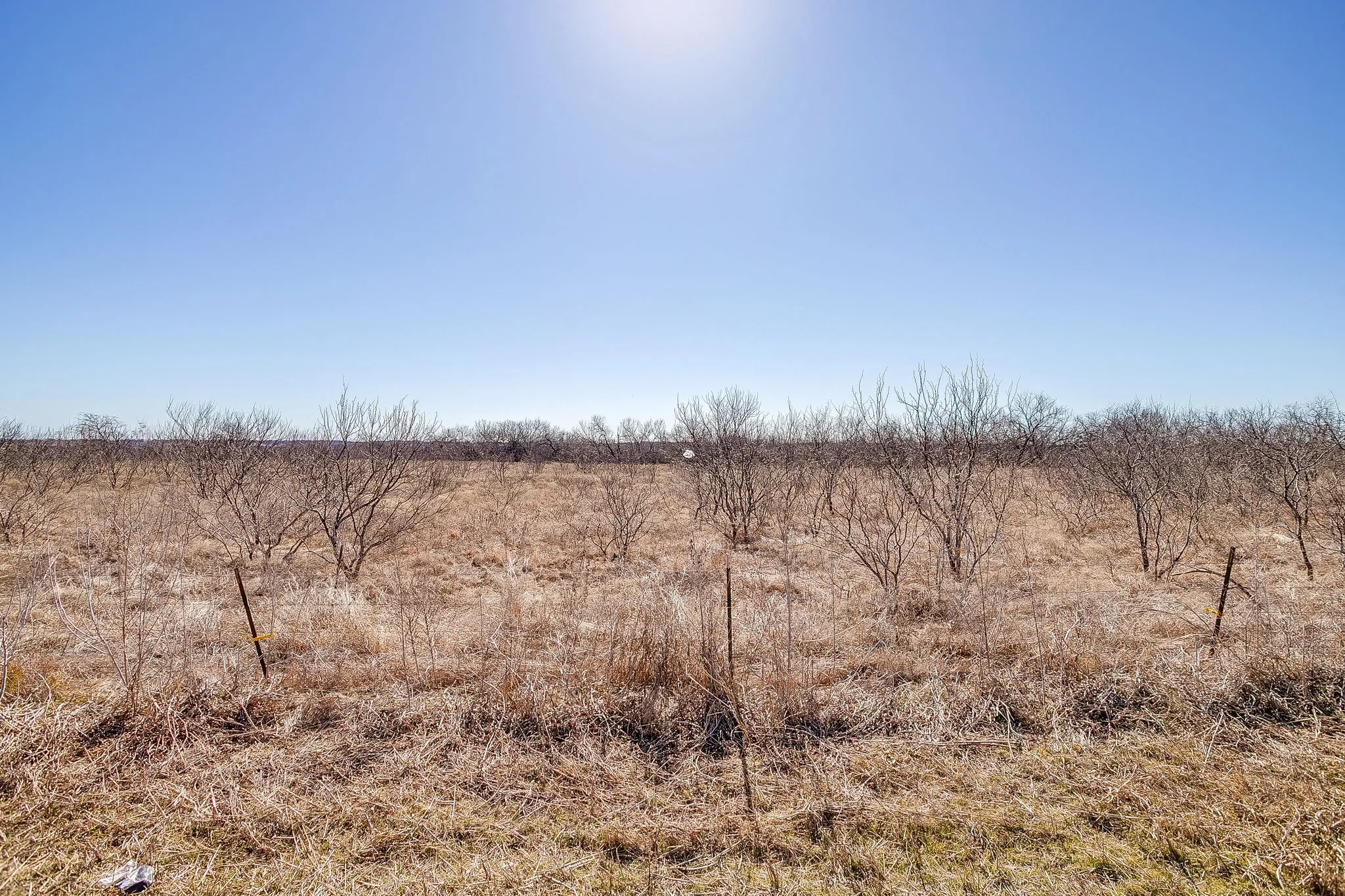 Unimproved Land For Sale in Mc Lennan County , TBD Ivy Lane, Elm Mott, Texas 76640, 0, 0, Garage spaces, 0 Sqft, built in 0, Price $945,000, mls#21178829, Real Estate Agent in Elm Mott, Homes For Sale in Mc Lennan county, Homes For Sale in Elm Mott, Realtor in Elm Mott Texas, Real Estate Brokerage Independent Realty Texas, Luminita Cordes Realtor