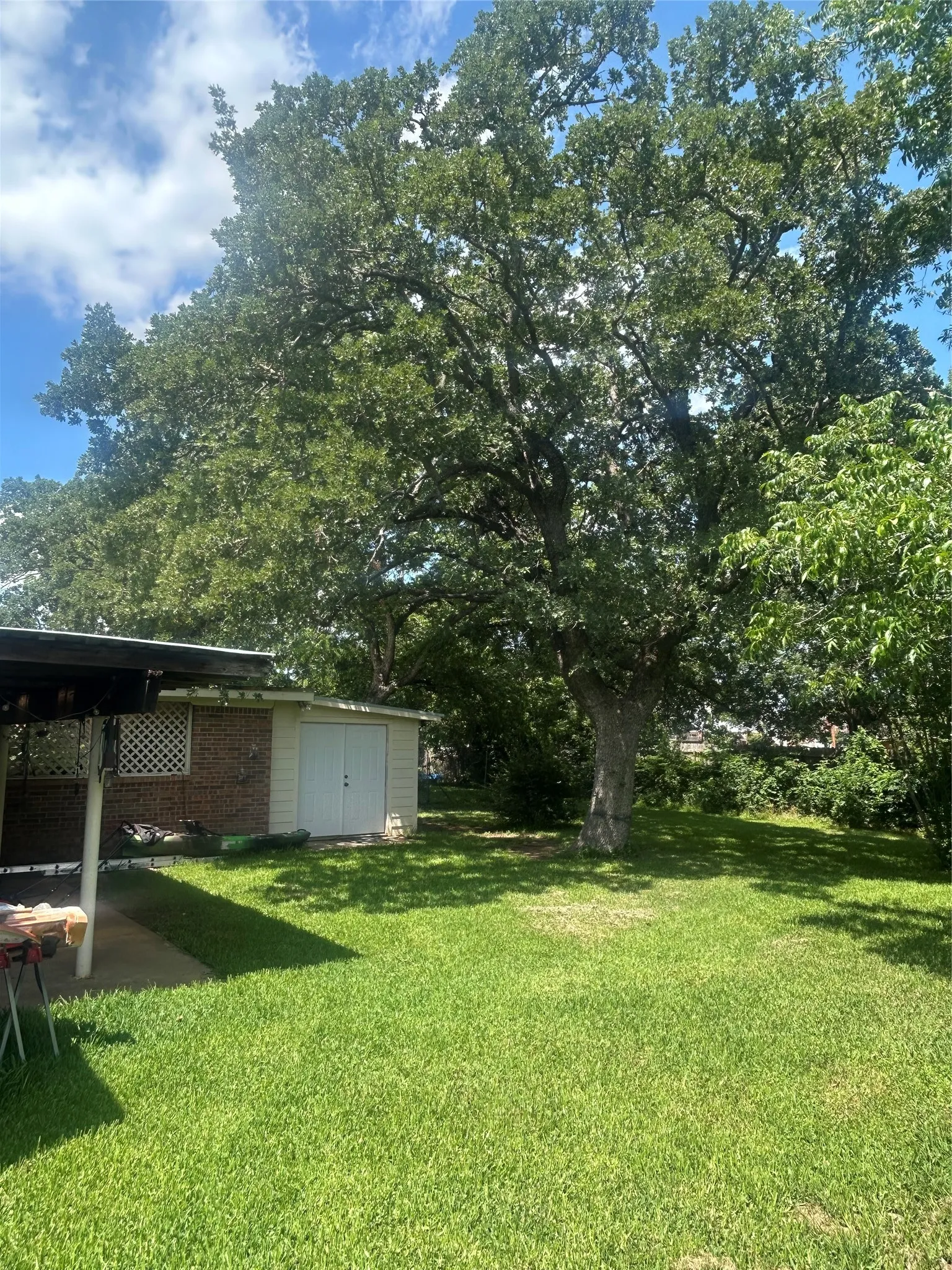 View of grassy yard with a patio area