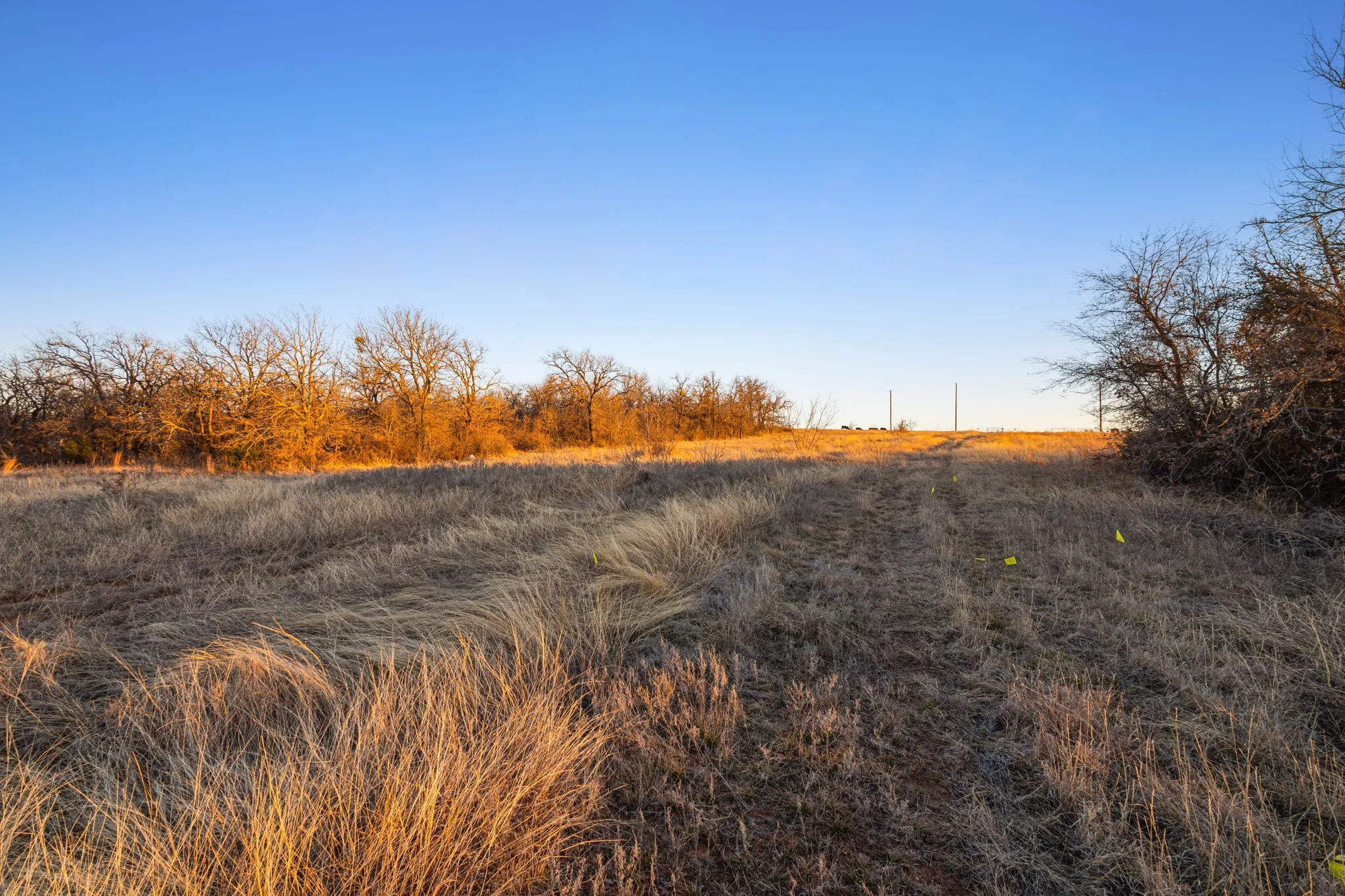 Unimproved Land For Sale in Wise County , TBD County Road 3519, Bridgeport, Texas 76246, 0, 0, Garage spaces, 0 Sqft, built in 0, mls#21173939, Real Estate Agent in Bridgeport, Homes For Sale in Wise county, Homes For Sale in Bridgeport, Realtor in Bridgeport Texas, Real Estate Brokerage Independent Realty Texas, Luminita Cordes Realtor