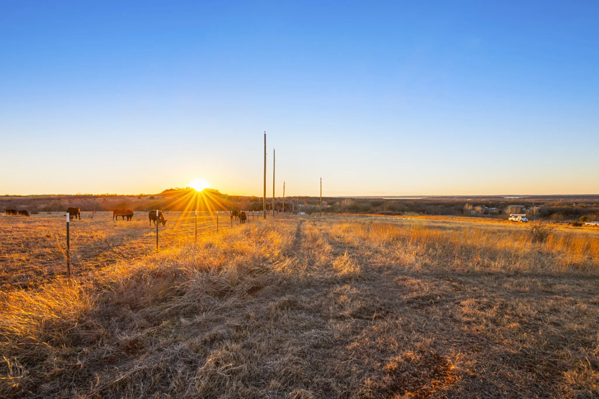 Unimproved Land For Sale in Wise County , TBD County Road 3519, Bridgeport, Texas 76246, 0, 0, Garage spaces, 0 Sqft, built in 0, mls#21173939, Real Estate Agent in Bridgeport, Homes For Sale in Wise county, Homes For Sale in Bridgeport, Realtor in Bridgeport Texas, Real Estate Brokerage Independent Realty Texas, Luminita Cordes Realtor