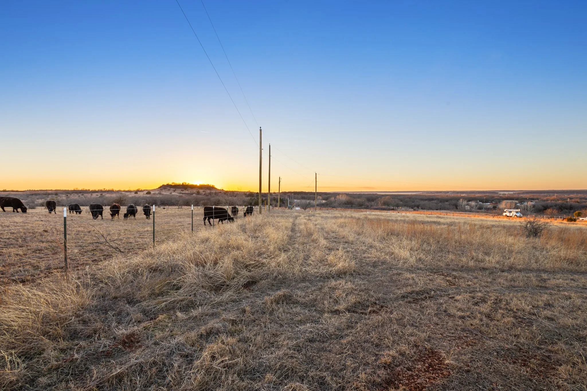 Unimproved Land For Sale in Wise County , TBD County Road 3519, Bridgeport, Texas 76246, 0, 0, Garage spaces, 0 Sqft, built in 0, mls#21173939, Real Estate Agent in Bridgeport, Homes For Sale in Wise county, Homes For Sale in Bridgeport, Realtor in Bridgeport Texas, Real Estate Brokerage Independent Realty Texas, Luminita Cordes Realtor