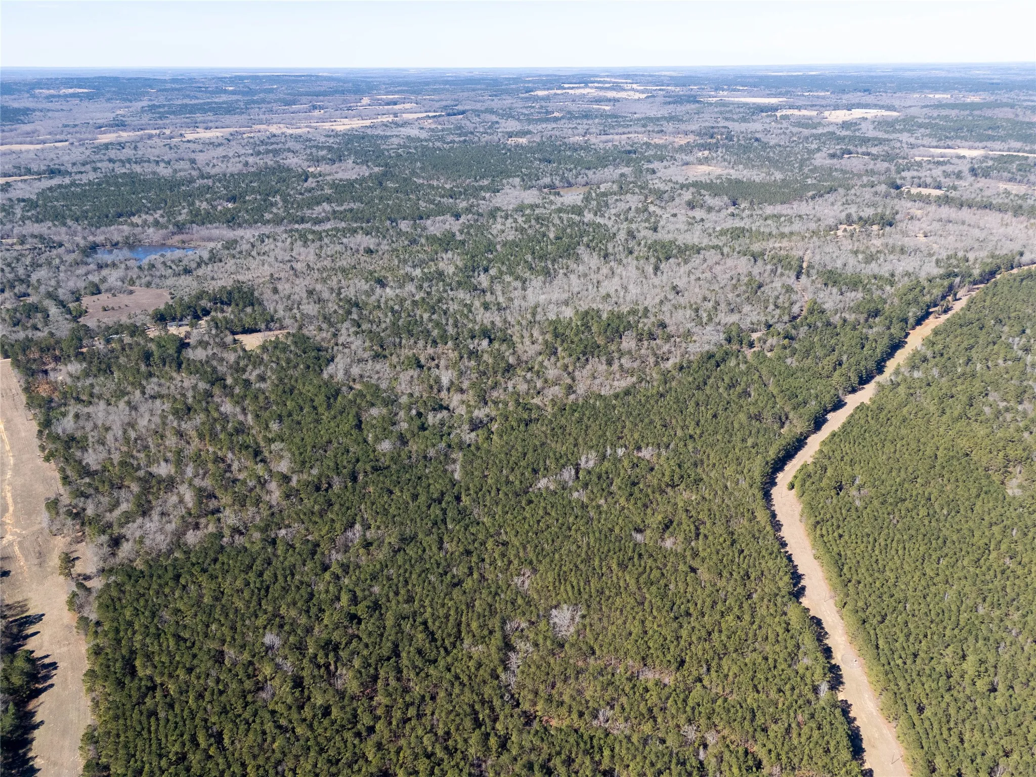 Unimproved Land For Sale in Anderson County , 00000 County Road 442, Palestine, Texas 75803, 0, 0, Garage spaces, 0 Sqft, built in 0, mls#21179035, Real Estate Agent in Palestine, Homes For Sale in Anderson county, Homes For Sale in Palestine, Realtor in Palestine Texas, Real Estate Brokerage Independent Realty Texas, Luminita Cordes Realtor