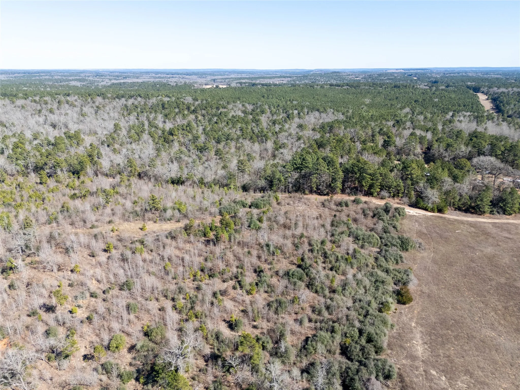 Unimproved Land For Sale in Anderson County , 00000 County Road 442, Palestine, Texas 75803, 0, 0, Garage spaces, 0 Sqft, built in 0, mls#21179035, Real Estate Agent in Palestine, Homes For Sale in Anderson county, Homes For Sale in Palestine, Realtor in Palestine Texas, Real Estate Brokerage Independent Realty Texas, Luminita Cordes Realtor