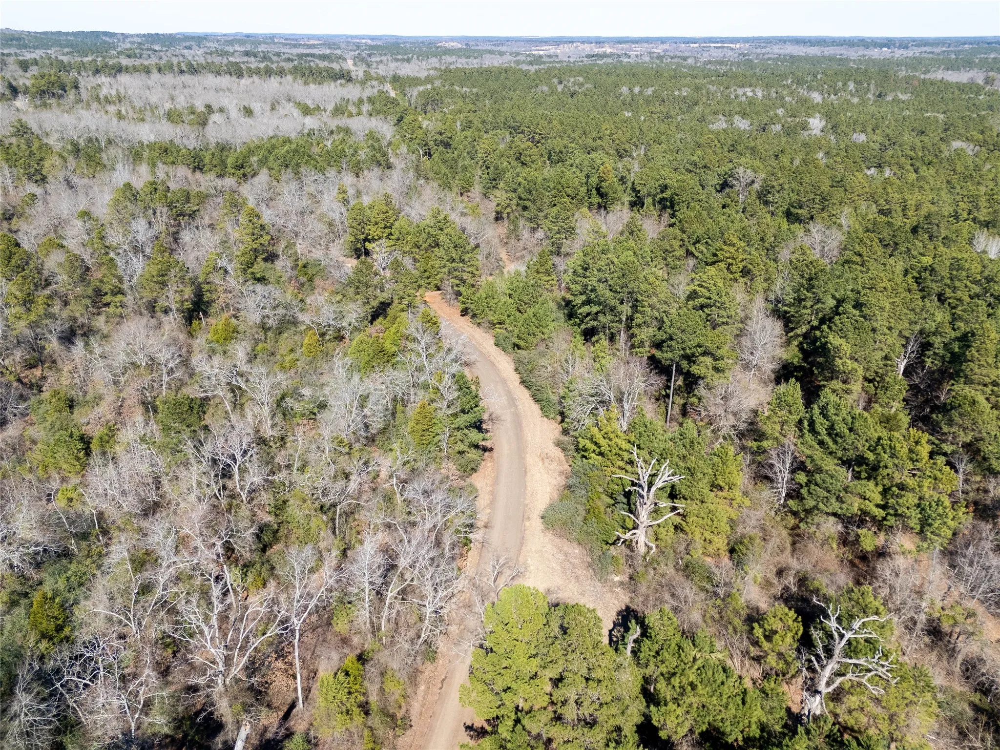 Unimproved Land For Sale in Anderson County , 00000 County Road 442, Palestine, Texas 75803, 0, 0, Garage spaces, 0 Sqft, built in 0, mls#21179035, Real Estate Agent in Palestine, Homes For Sale in Anderson county, Homes For Sale in Palestine, Realtor in Palestine Texas, Real Estate Brokerage Independent Realty Texas, Luminita Cordes Realtor