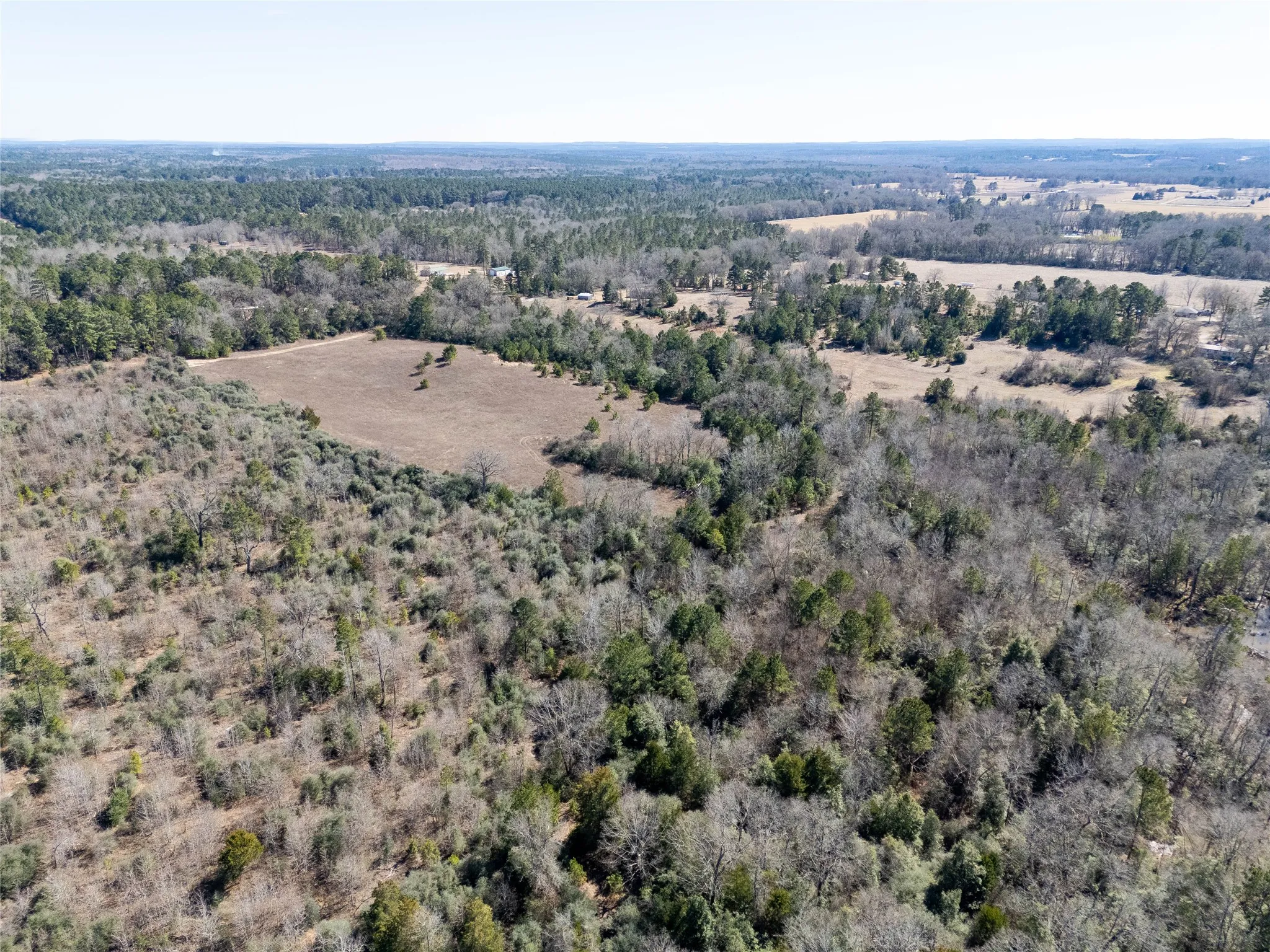 Unimproved Land For Sale in Anderson County , 00000 County Road 442, Palestine, Texas 75803, 0, 0, Garage spaces, 0 Sqft, built in 0, mls#21179035, Real Estate Agent in Palestine, Homes For Sale in Anderson county, Homes For Sale in Palestine, Realtor in Palestine Texas, Real Estate Brokerage Independent Realty Texas, Luminita Cordes Realtor