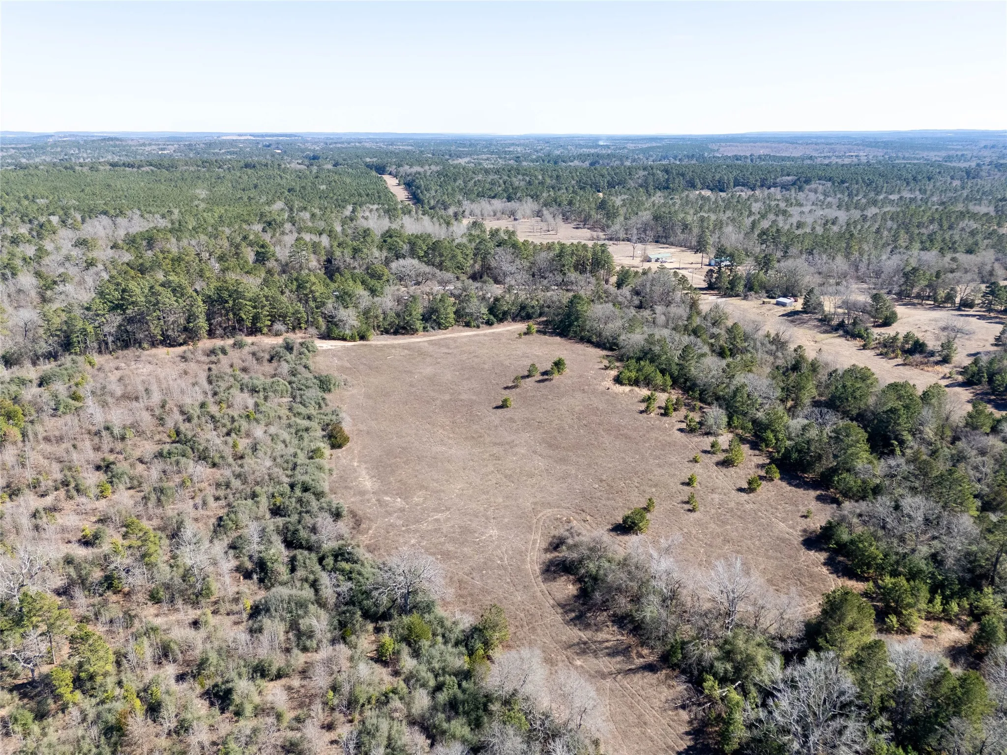 Unimproved Land For Sale in Anderson County , 00000 County Road 442, Palestine, Texas 75803, 0, 0, Garage spaces, 0 Sqft, built in 0, mls#21179035, Real Estate Agent in Palestine, Homes For Sale in Anderson county, Homes For Sale in Palestine, Realtor in Palestine Texas, Real Estate Brokerage Independent Realty Texas, Luminita Cordes Realtor