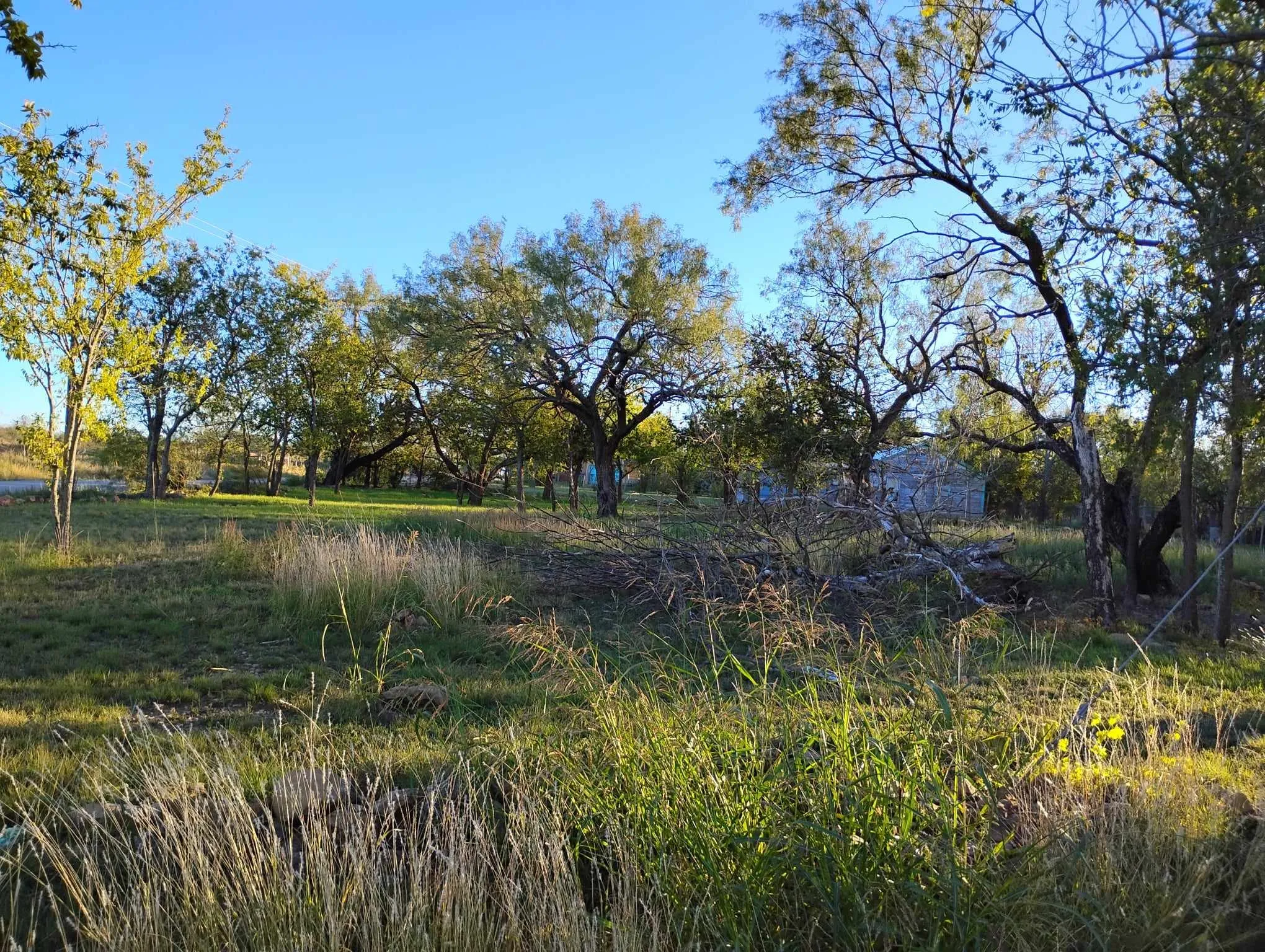 Unimproved Land For Sale in Coleman County , 816 E 3RD Street, Coleman, Texas 76834, 0, 0, Garage spaces, 0 Sqft, built in 0, Price $35,000, mls#21179251, Real Estate Agent in Coleman, Homes For Sale in Coleman county, Homes For Sale in Coleman, Realtor in Coleman Texas, Real Estate Brokerage Independent Realty Texas, Luminita Cordes Realtor