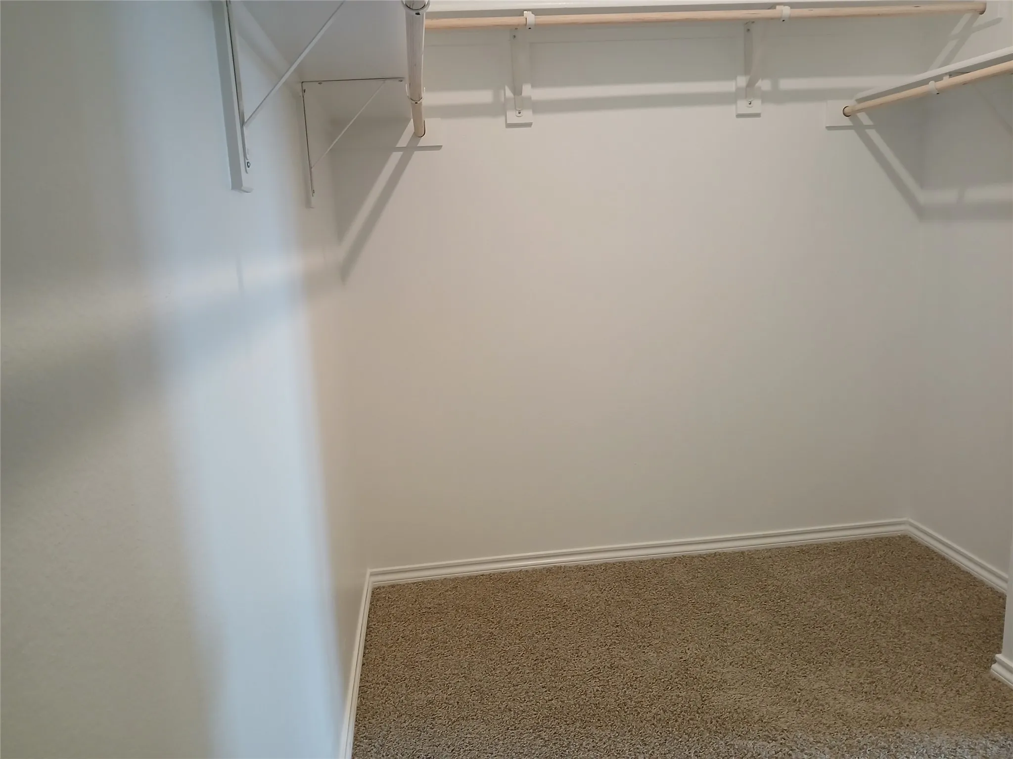 Walk-in closet with carpet flooring, white walls, and built-in shelving with hanging rods