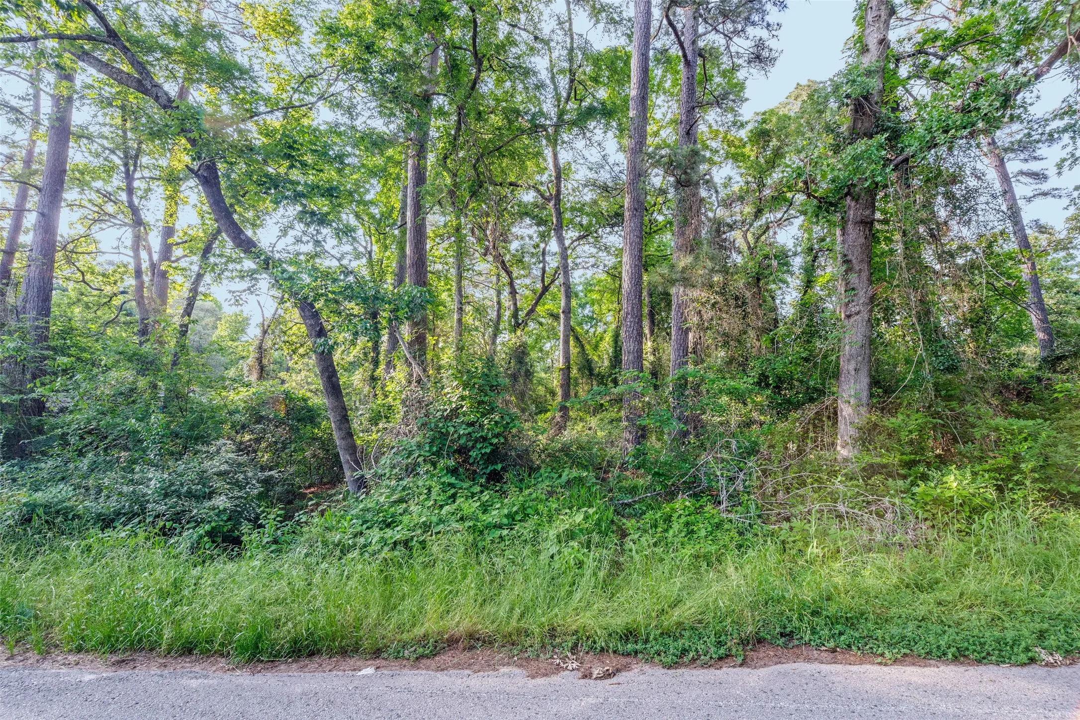 Unimproved Land For Sale in Henderson County , 7631 Forest Hill Drive, Frankston, Texas 75763, 0, 0, Garage spaces, 0 Sqft, built in 0, Price $23,000, mls#21179156, Real Estate Agent in Frankston, Homes For Sale in Henderson county, Homes For Sale in Frankston, Realtor in Frankston Texas, Real Estate Brokerage Independent Realty Texas, Luminita Cordes Realtor