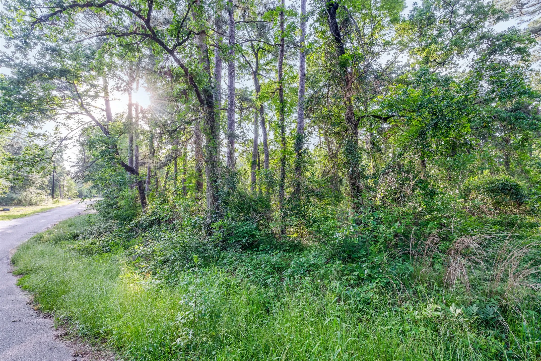 Unimproved Land For Sale in Henderson County , 7631 Forest Hill Drive, Frankston, Texas 75763, 0, 0, Garage spaces, 0 Sqft, built in 0, Price $23,000, mls#21179156, Real Estate Agent in Frankston, Homes For Sale in Henderson county, Homes For Sale in Frankston, Realtor in Frankston Texas, Real Estate Brokerage Independent Realty Texas, Luminita Cordes Realtor