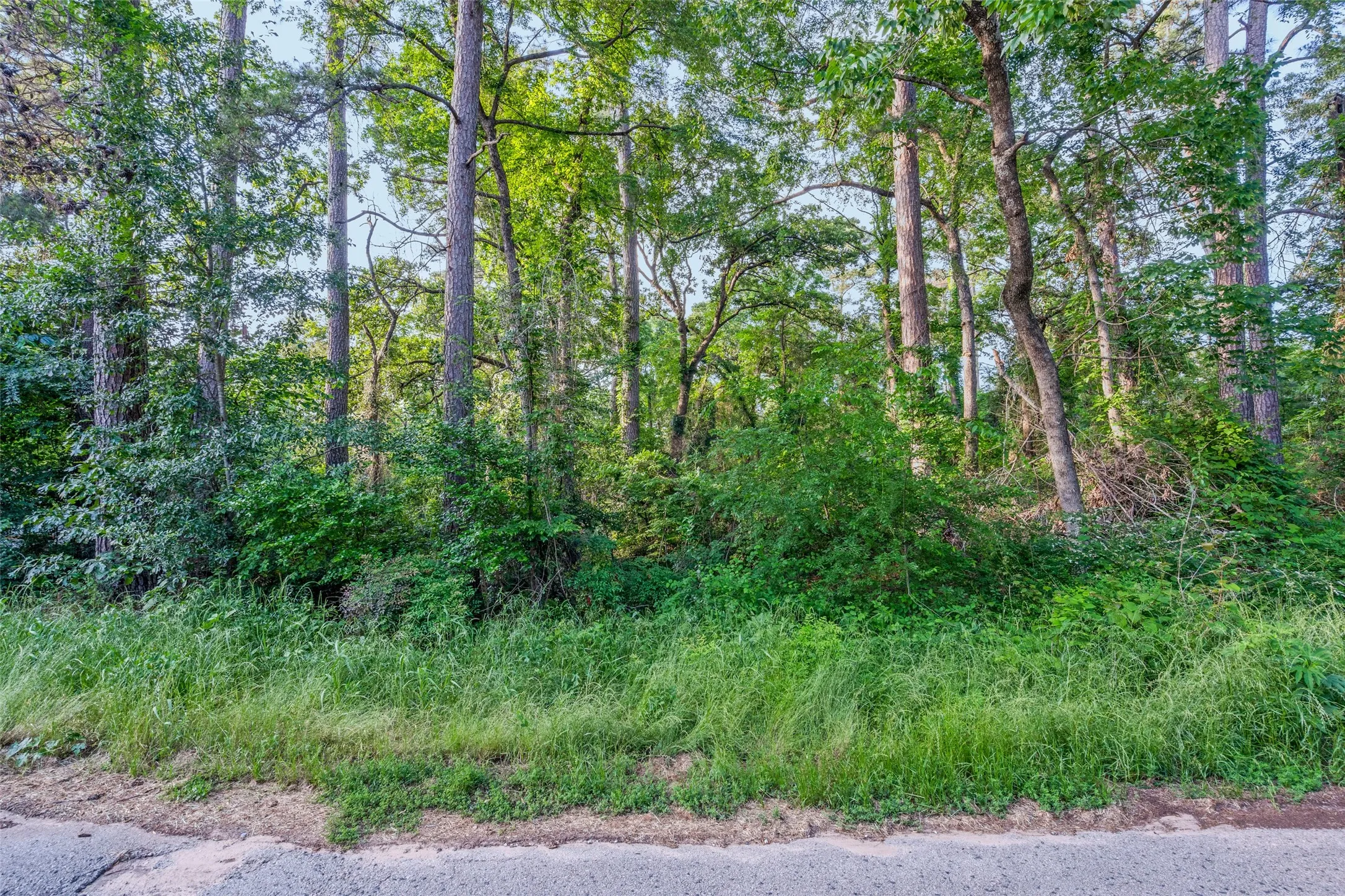 Unimproved Land For Sale in Henderson County , 0 Forest Hill Drive, Frankston, Texas 75763, 0, 0, Garage spaces, 0 Sqft, built in 0, mls#21179157, Real Estate Agent in Frankston, Homes For Sale in Henderson county, Homes For Sale in Frankston, Realtor in Frankston Texas, Real Estate Brokerage Independent Realty Texas, Luminita Cordes Realtor