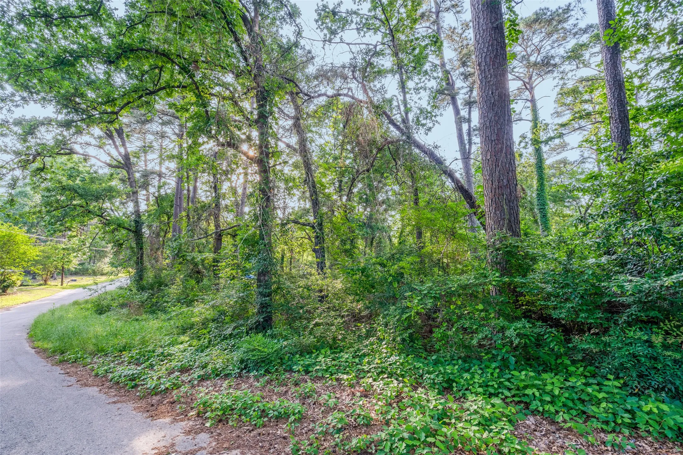 Unimproved Land For Sale in Henderson County , 0 Forest Hill Drive, Frankston, Texas 75763, 0, 0, Garage spaces, 0 Sqft, built in 0, mls#21179157, Real Estate Agent in Frankston, Homes For Sale in Henderson county, Homes For Sale in Frankston, Realtor in Frankston Texas, Real Estate Brokerage Independent Realty Texas, Luminita Cordes Realtor
