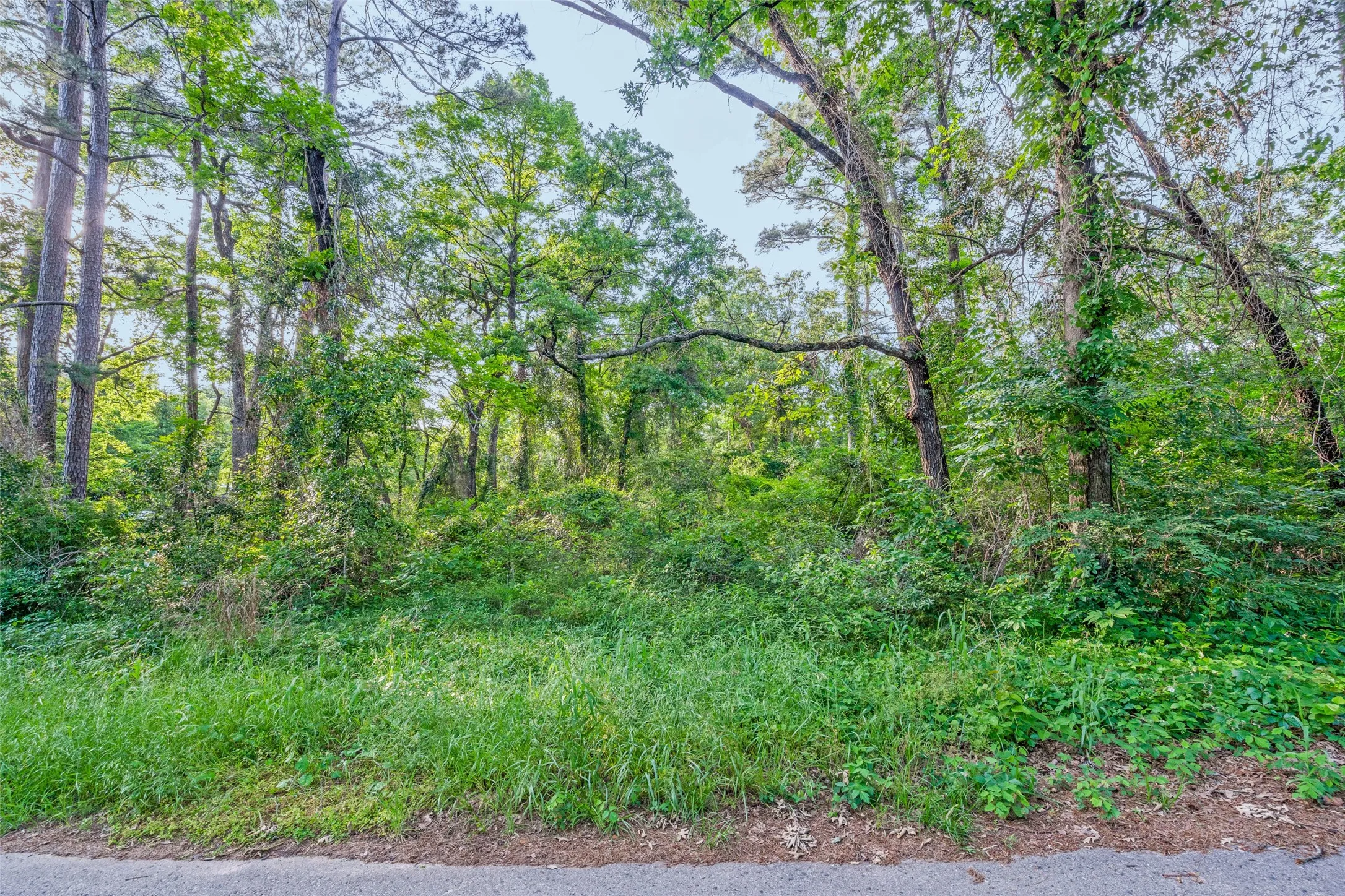 Unimproved Land For Sale in Henderson County , 0 Forest Hill Drive, Frankston, Texas 75763, 0, 0, Garage spaces, 0 Sqft, built in 0, mls#21179157, Real Estate Agent in Frankston, Homes For Sale in Henderson county, Homes For Sale in Frankston, Realtor in Frankston Texas, Real Estate Brokerage Independent Realty Texas, Luminita Cordes Realtor