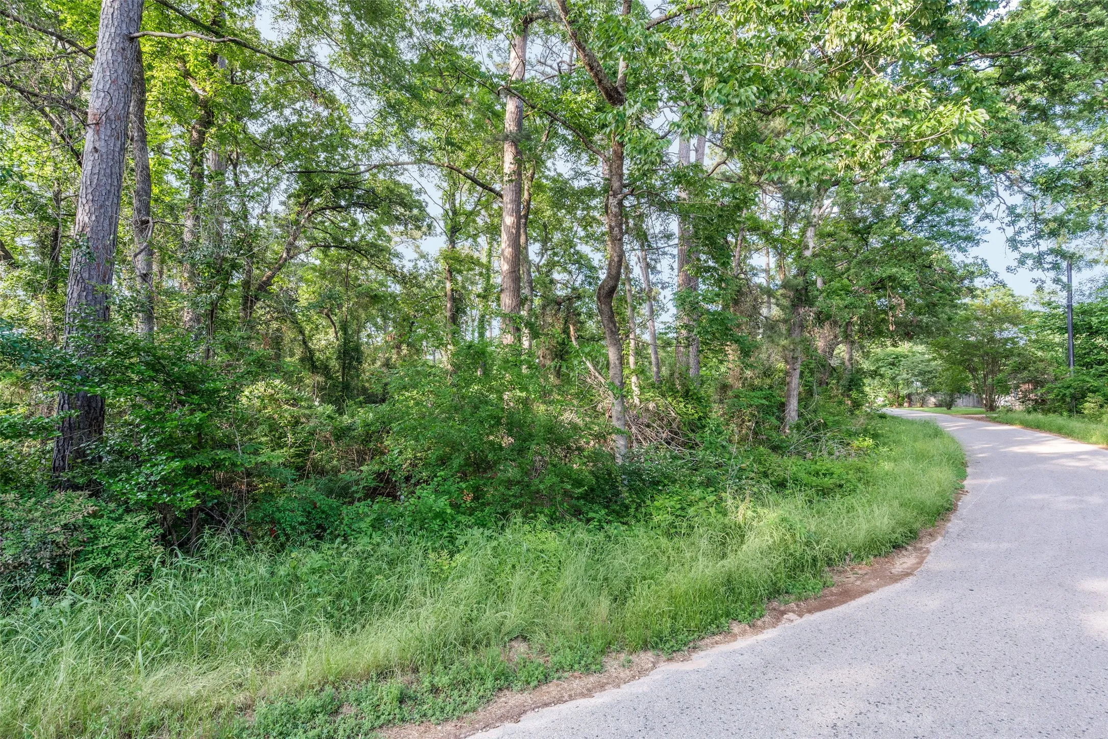 Unimproved Land For Sale in Henderson County , 0 Forest Hill Drive, Frankston, Texas 75763, 0, 0, Garage spaces, 0 Sqft, built in 0, mls#21179157, Real Estate Agent in Frankston, Homes For Sale in Henderson county, Homes For Sale in Frankston, Realtor in Frankston Texas, Real Estate Brokerage Independent Realty Texas, Luminita Cordes Realtor