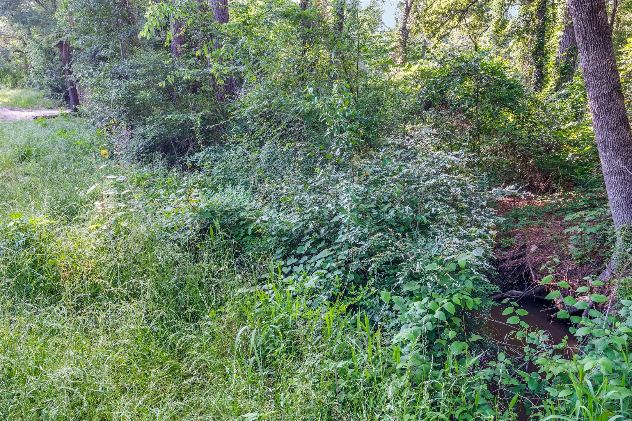 Unimproved Land For Sale in Henderson County , 0 Forest Hill Drive, Frankston, Texas 75763, 0, 0, Garage spaces, 0 Sqft, built in 0, mls#21179157, Real Estate Agent in Frankston, Homes For Sale in Henderson county, Homes For Sale in Frankston, Realtor in Frankston Texas, Real Estate Brokerage Independent Realty Texas, Luminita Cordes Realtor