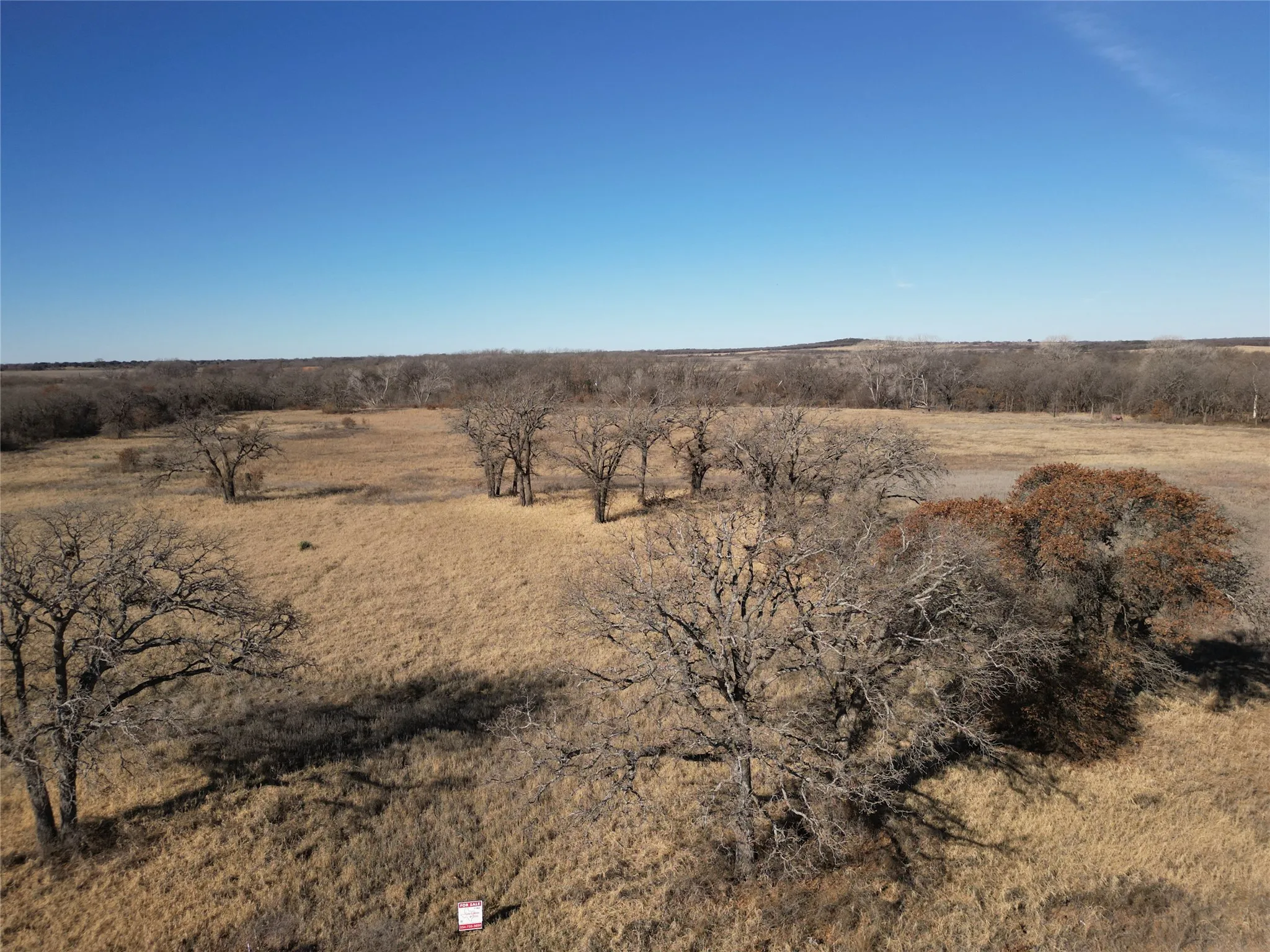 Unimproved Land For Sale in Eastland County , 1235 County Road 226, Rising Star, Texas 76471, 0, 0, Garage spaces, 0 Sqft, built in 0, mls#21179234, Real Estate Agent in Rising Star, Homes For Sale in Eastland county, Homes For Sale in Rising Star, Realtor in Rising Star Texas, Real Estate Brokerage Independent Realty Texas, Luminita Cordes Realtor